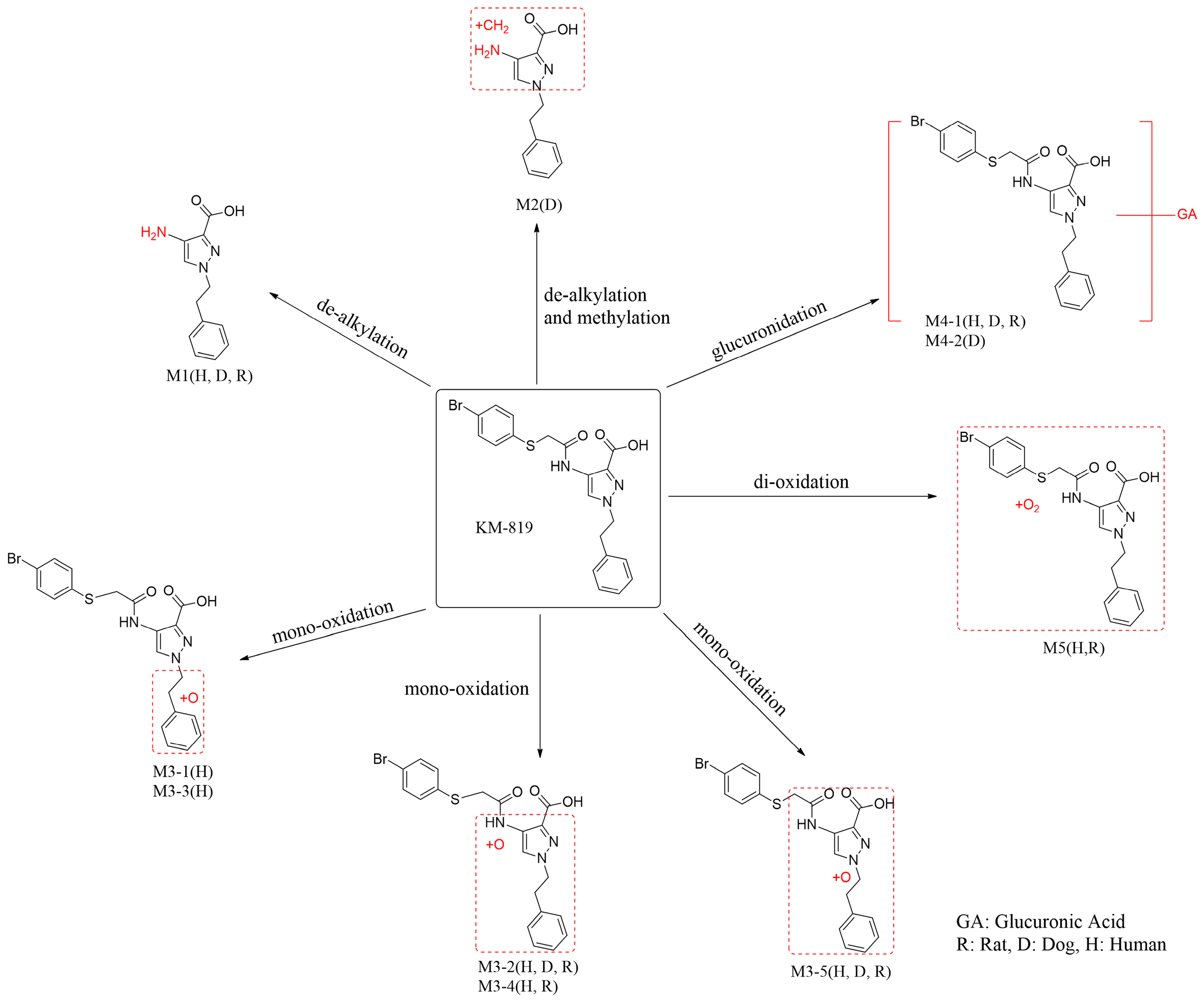 Molecules 29 01004 g006