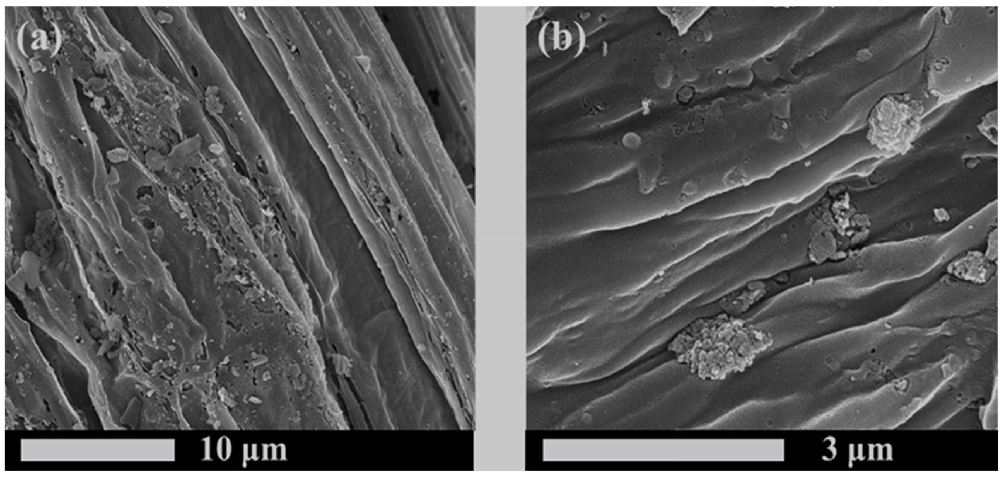 Molecules 29 01005 g005