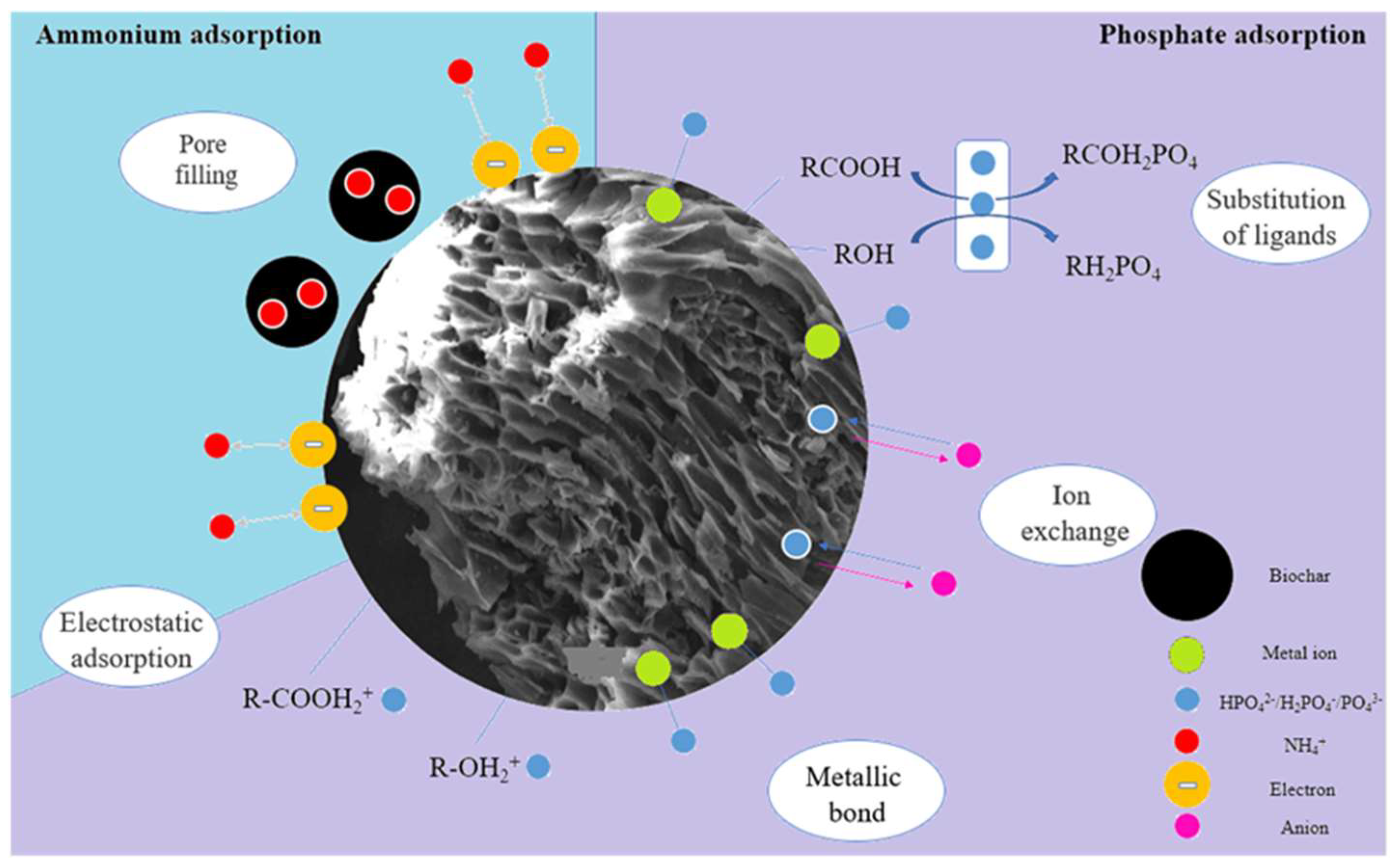 Molecules 29 01005 g015