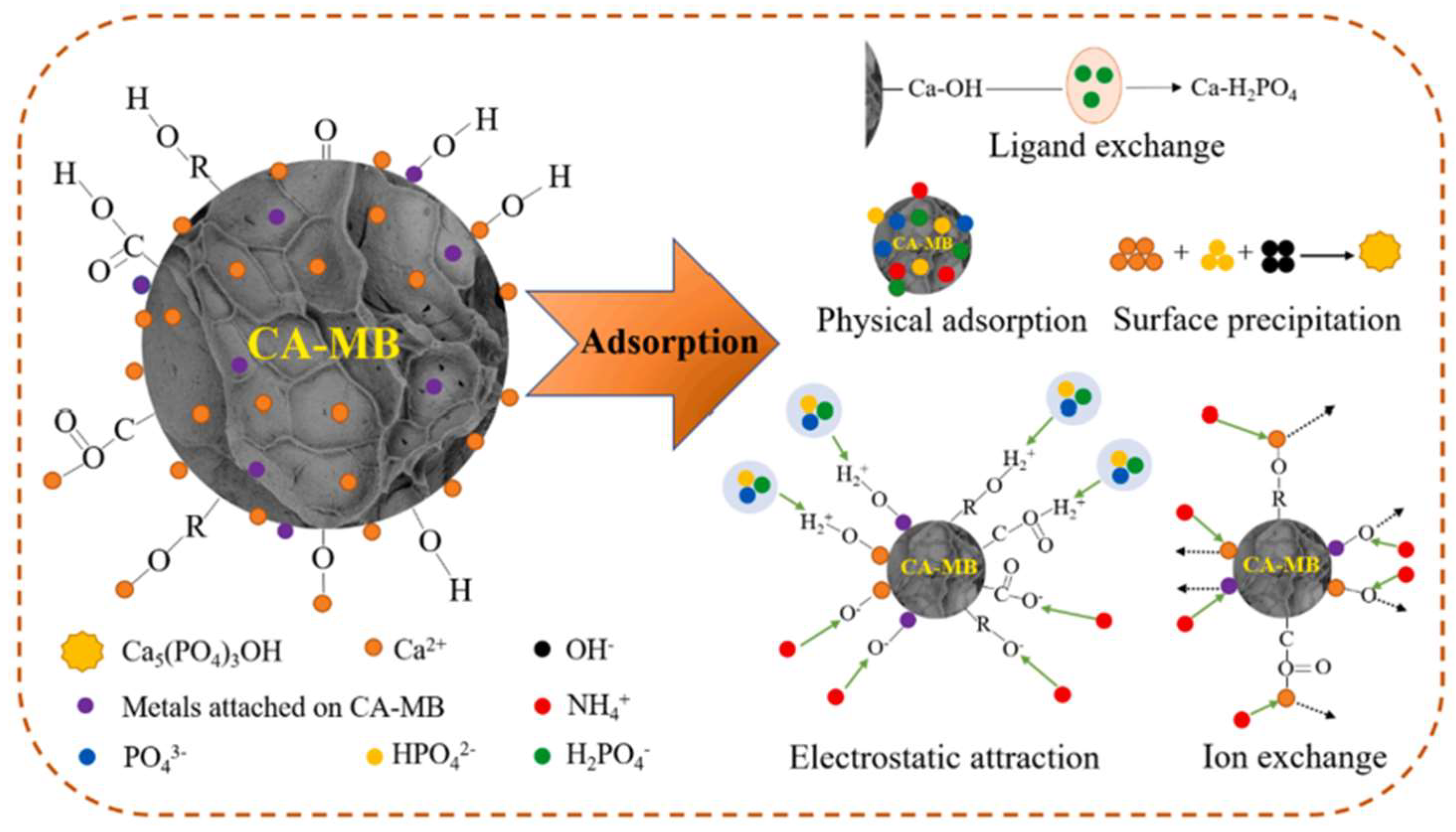 Molecules 29 01005 g016