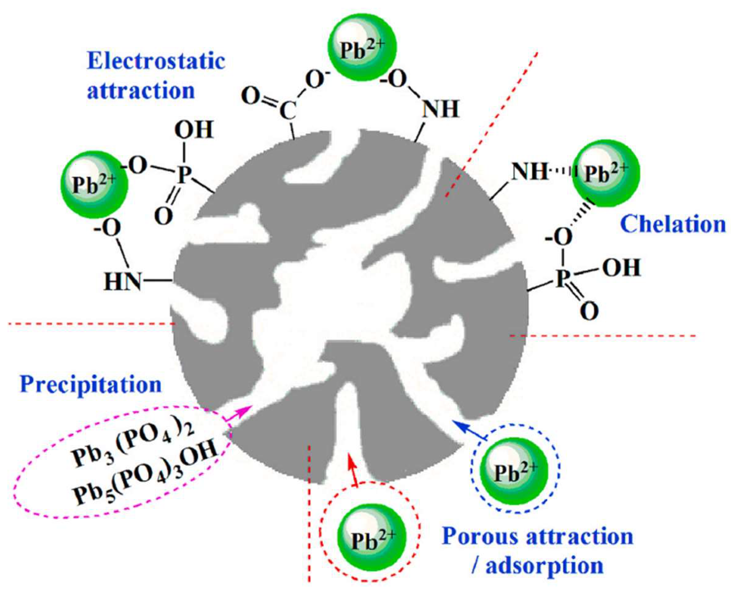 Molecules 29 01005 g018