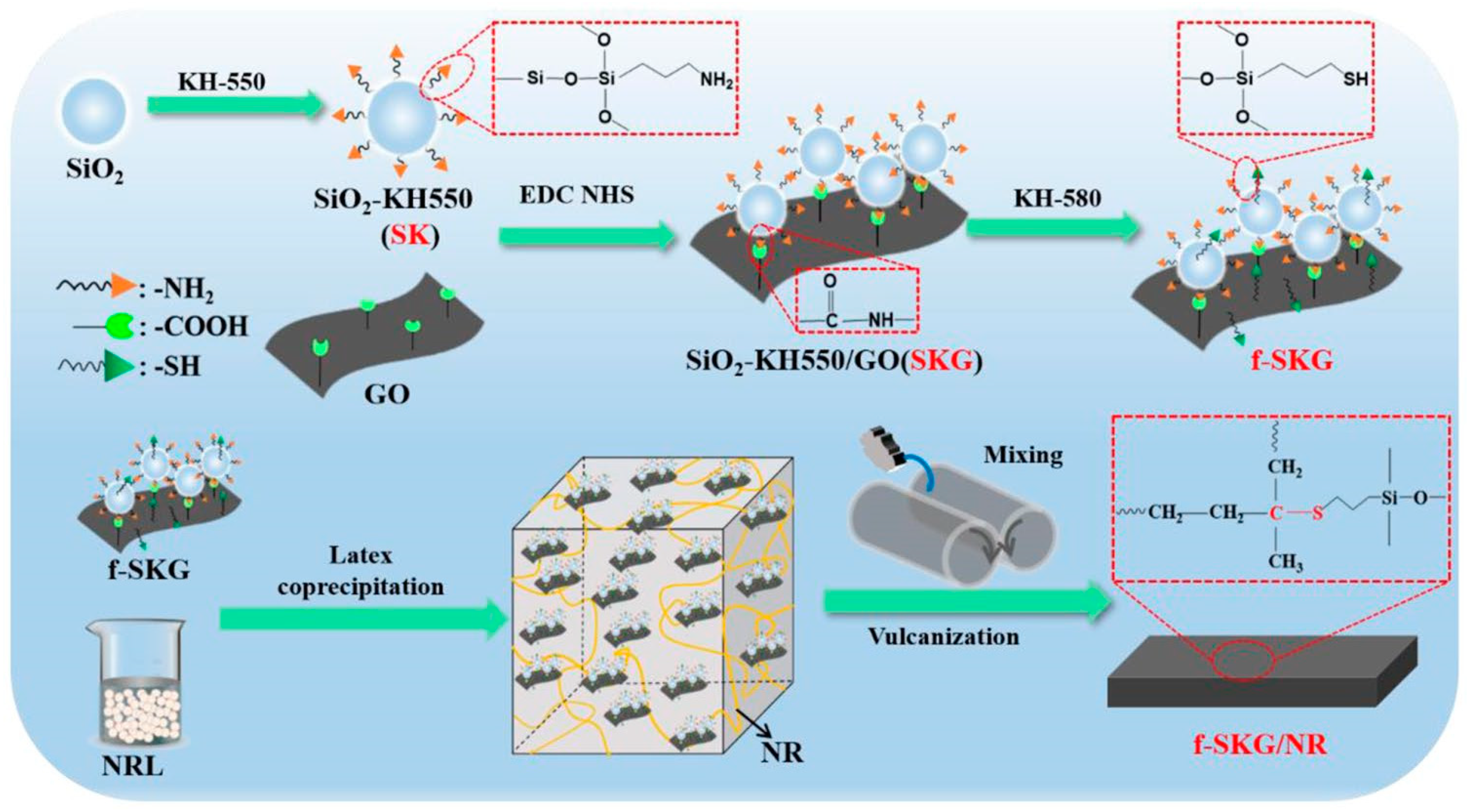 Molecules 29 01009 g001
