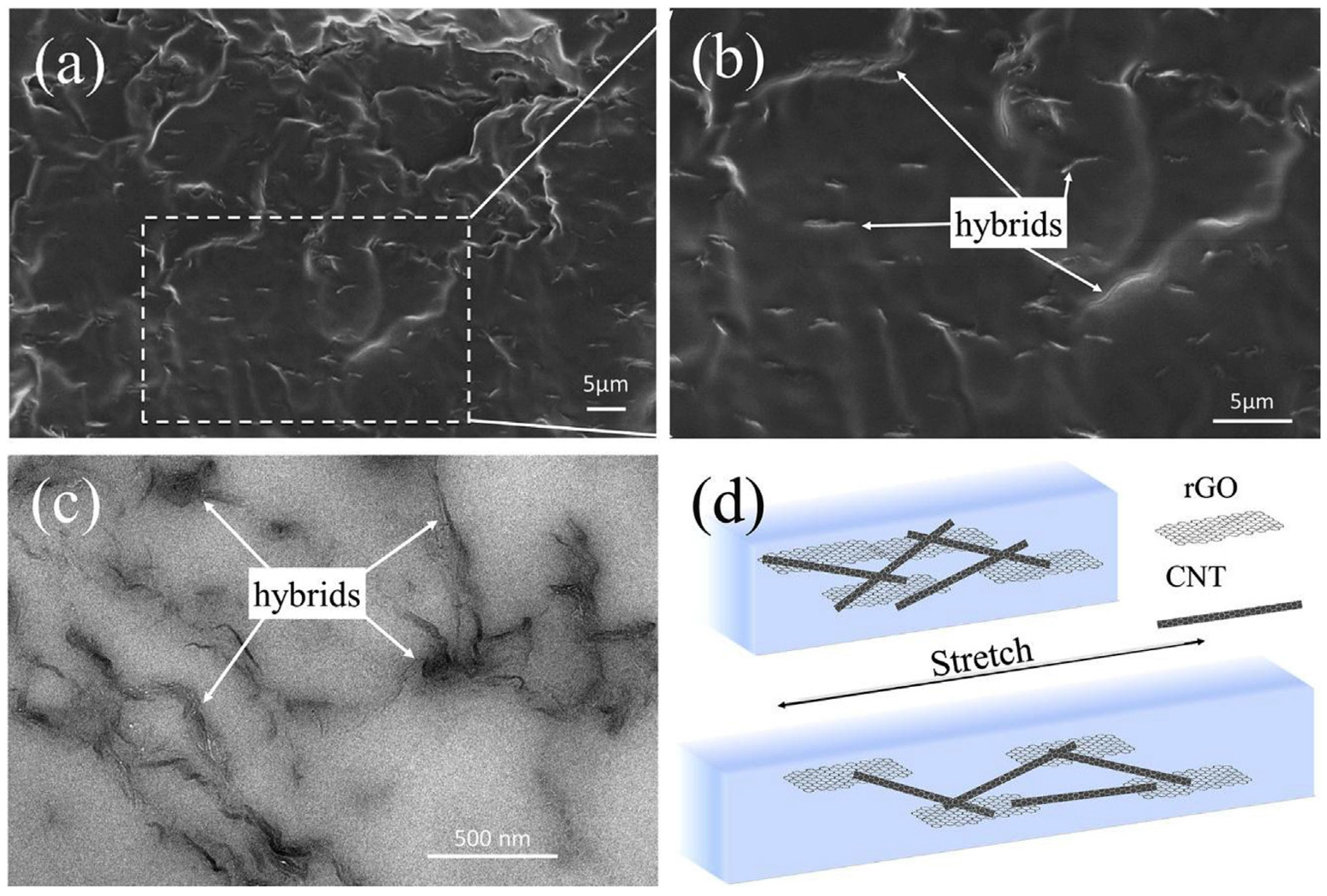 Molecules 29 01009 g004
