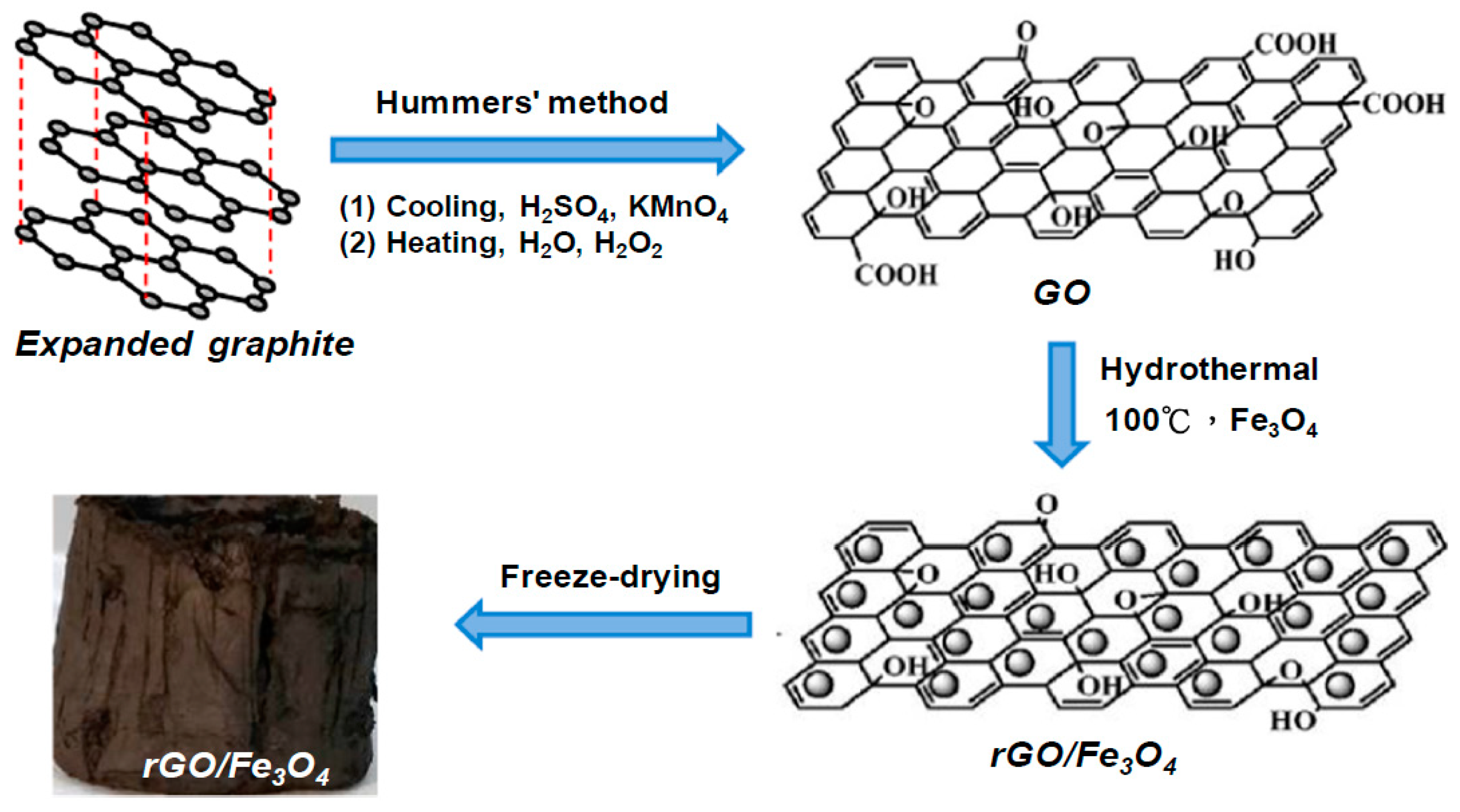 Molecules 29 01009 g005
