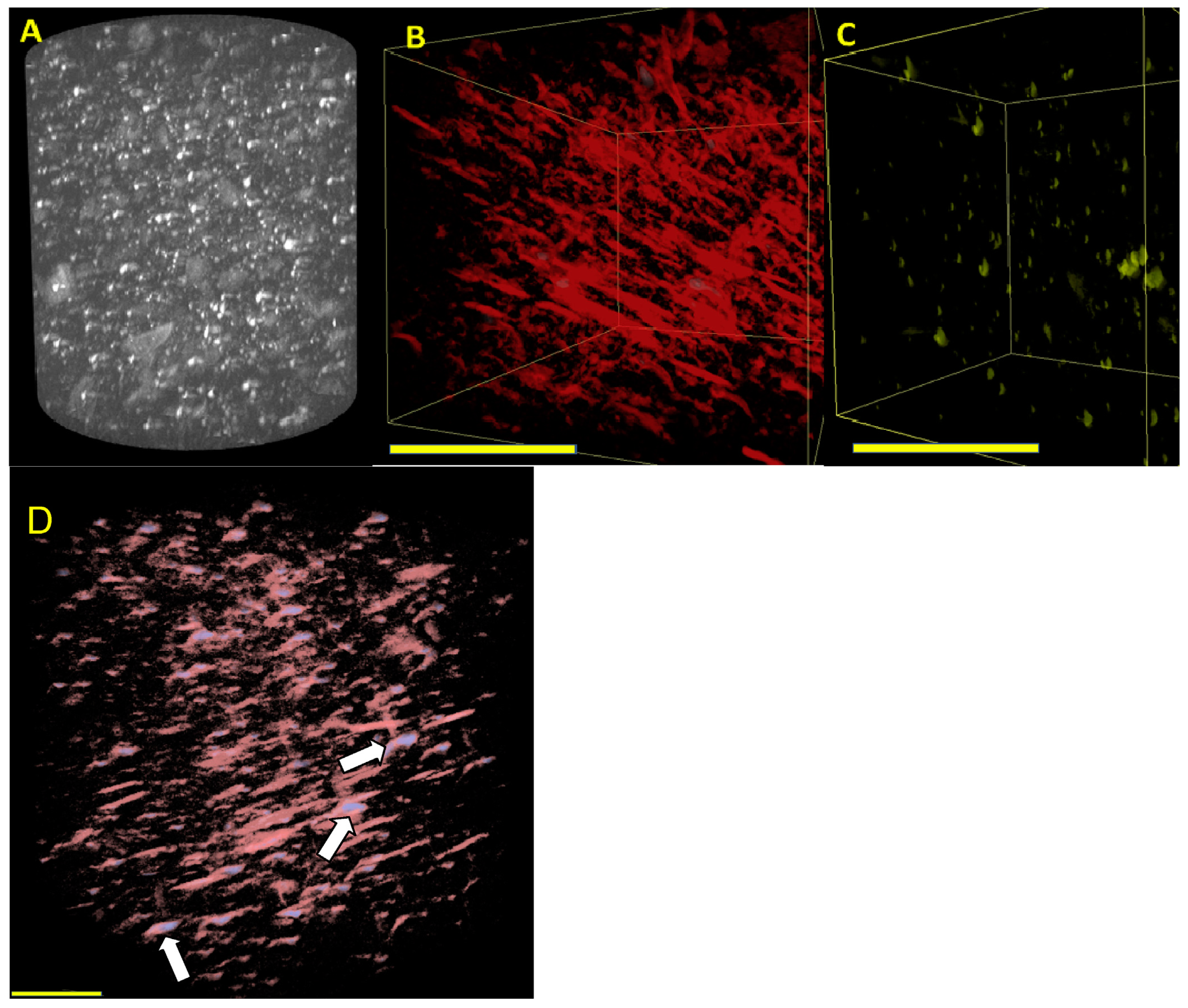 Molecules 29 01009 g008
