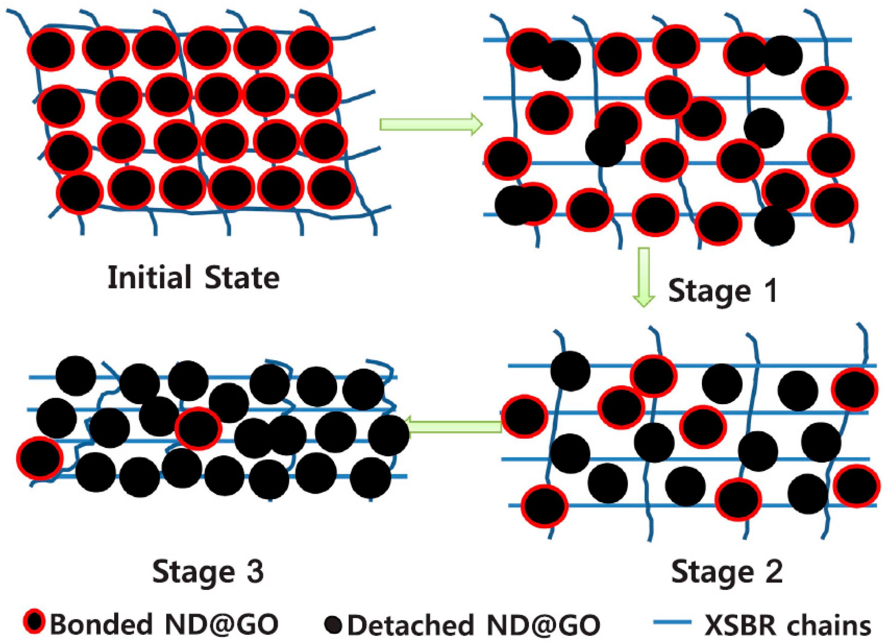 Molecules 29 01009 g011