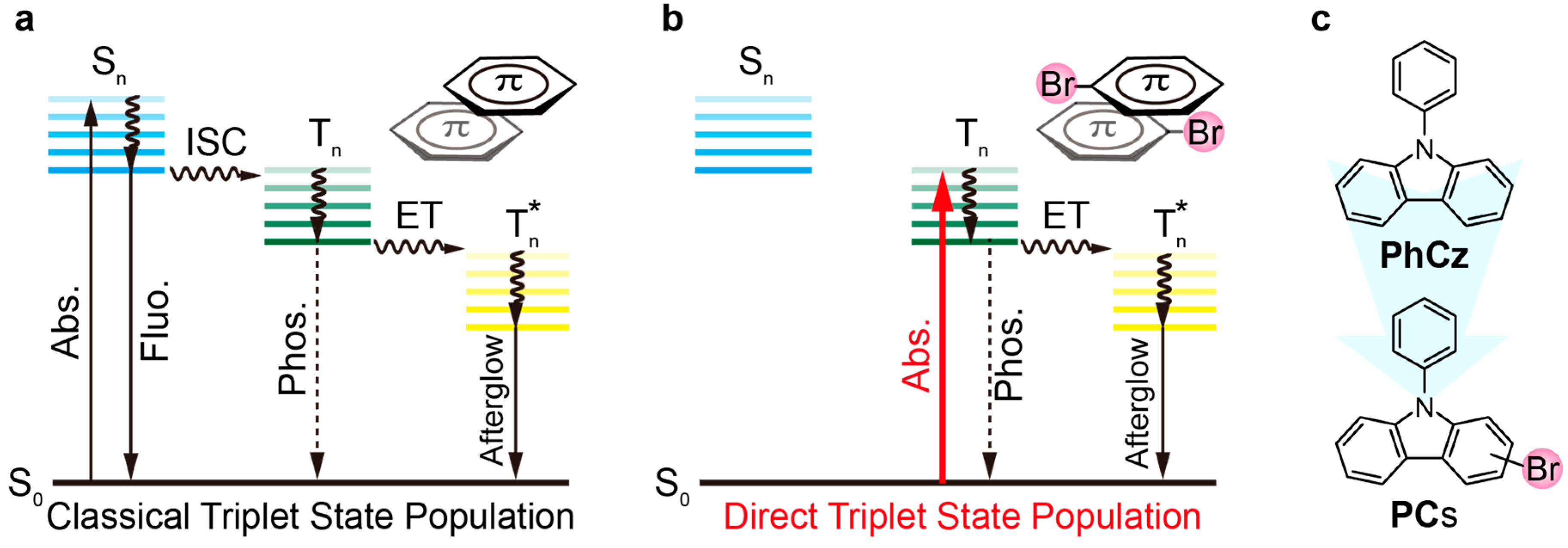 Molecules 29 01014 g001
