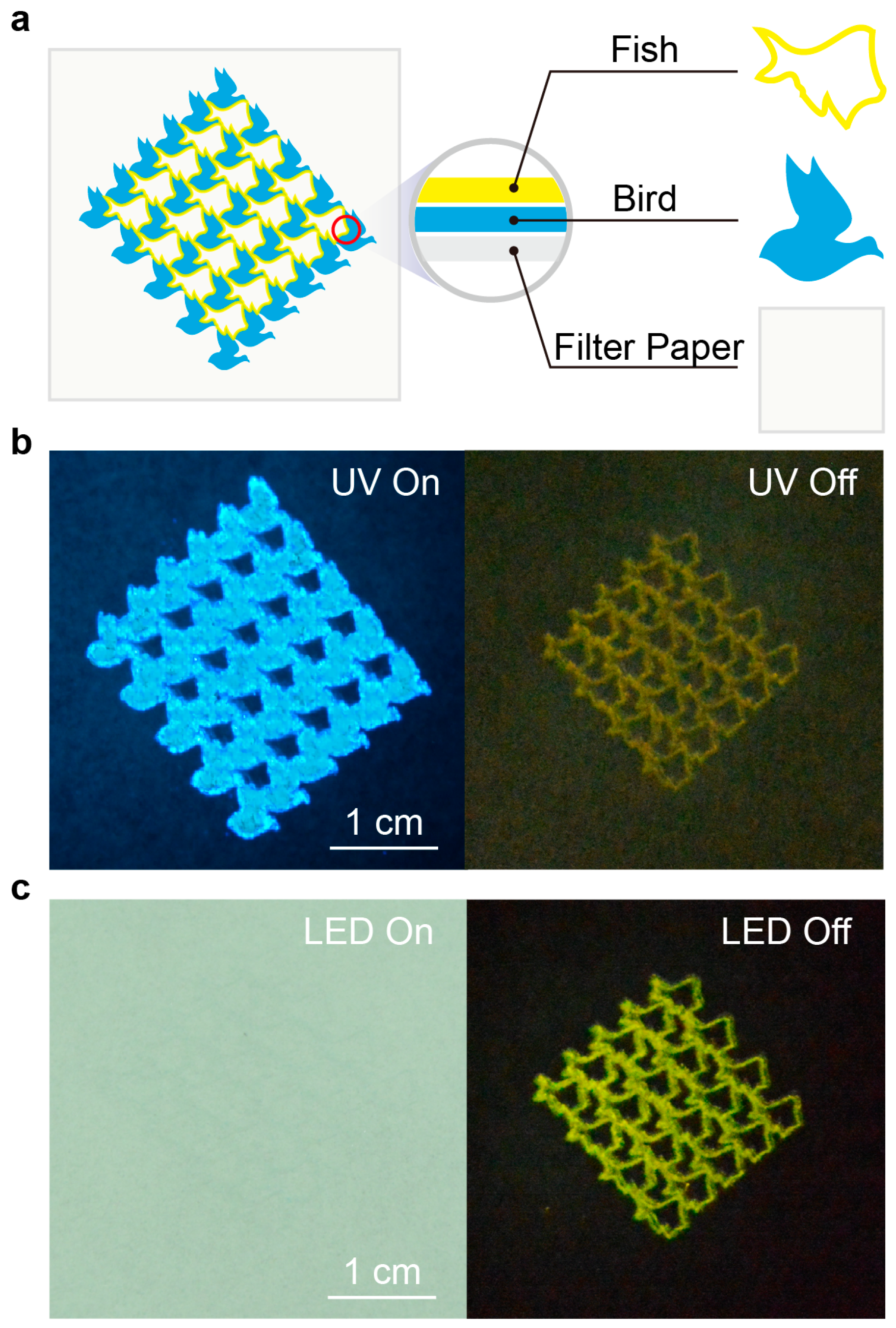 Molecules 29 01014 g004