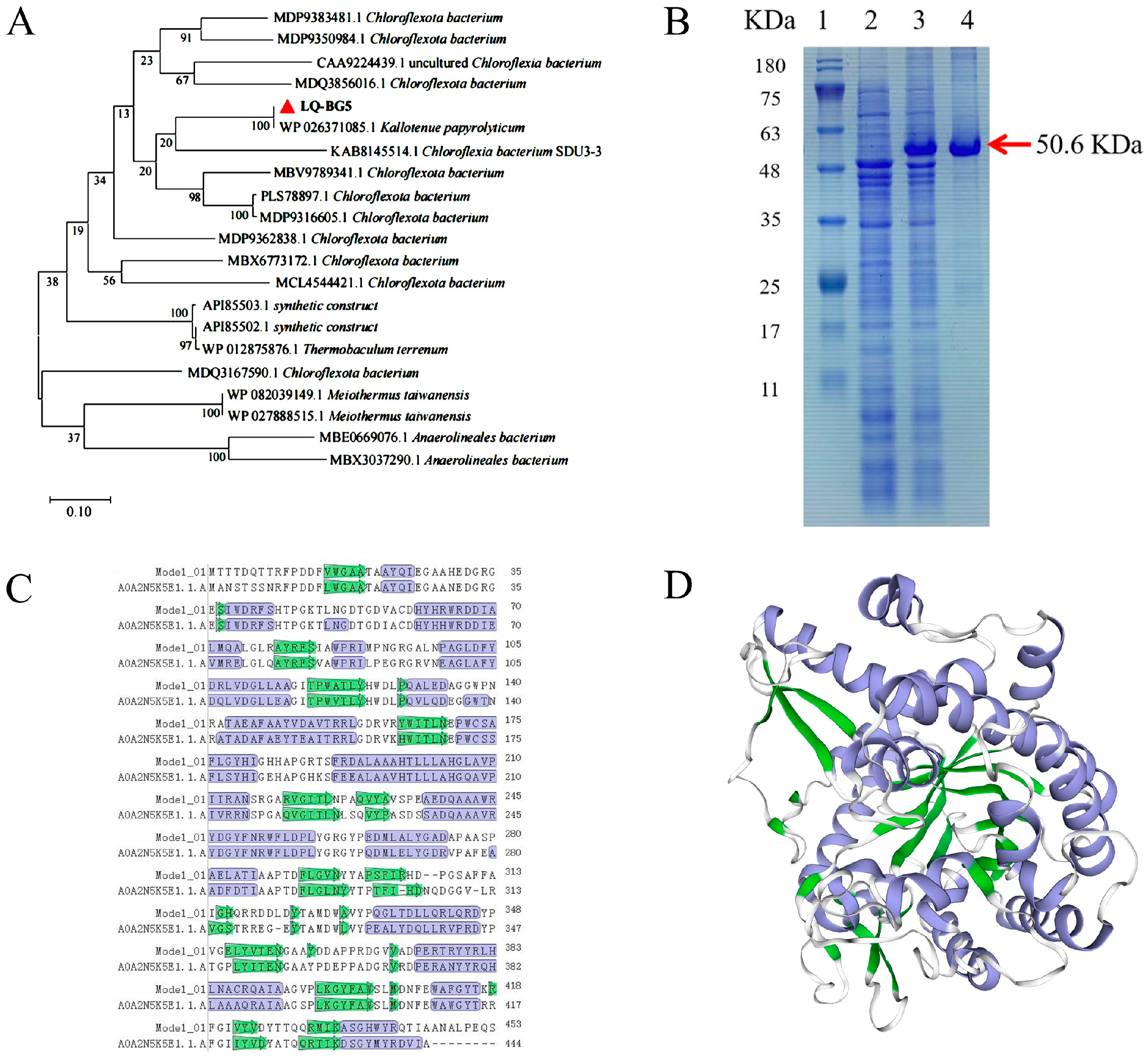 Molecules 29 01017 g001