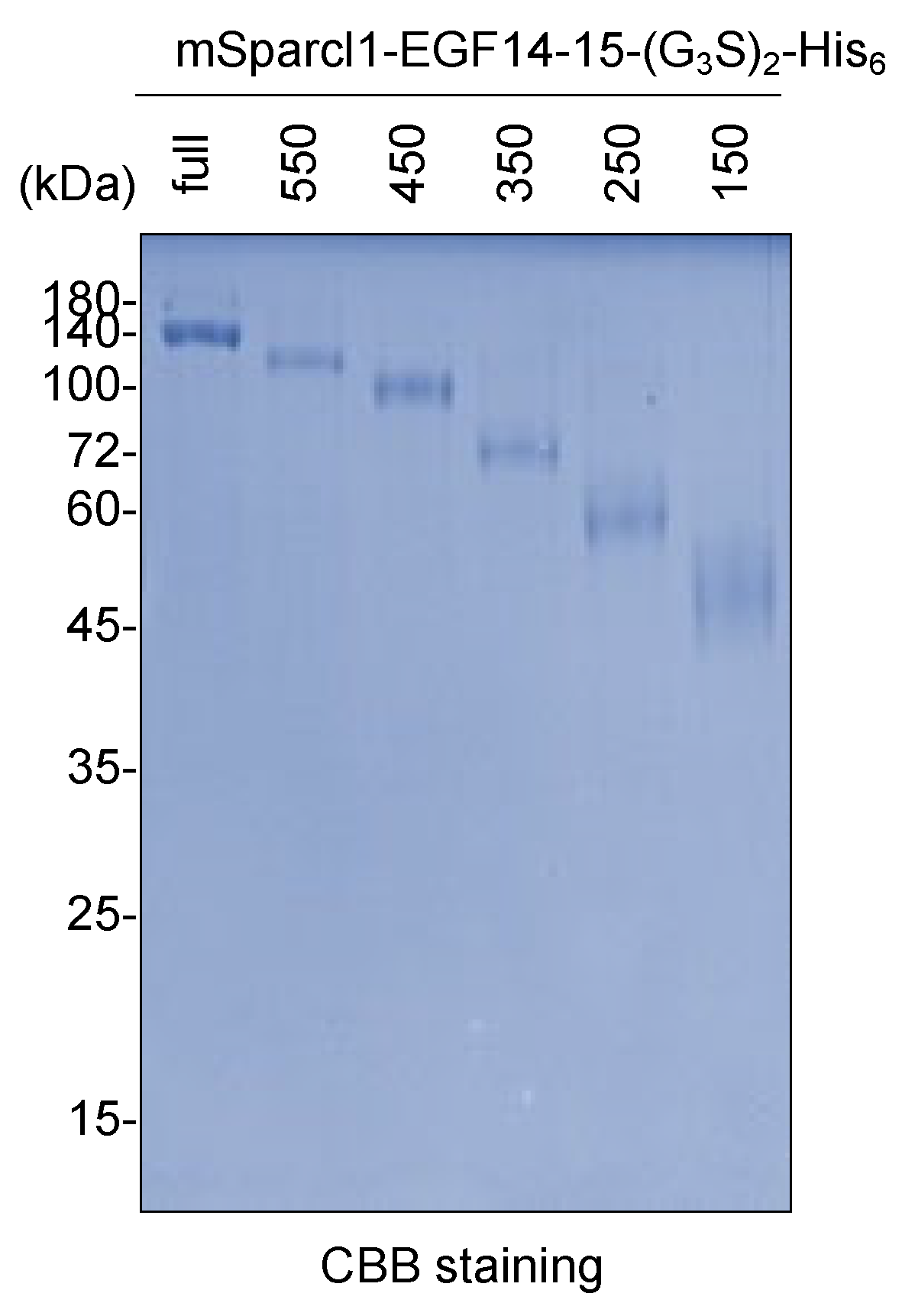 Molecules 29 01031 g005