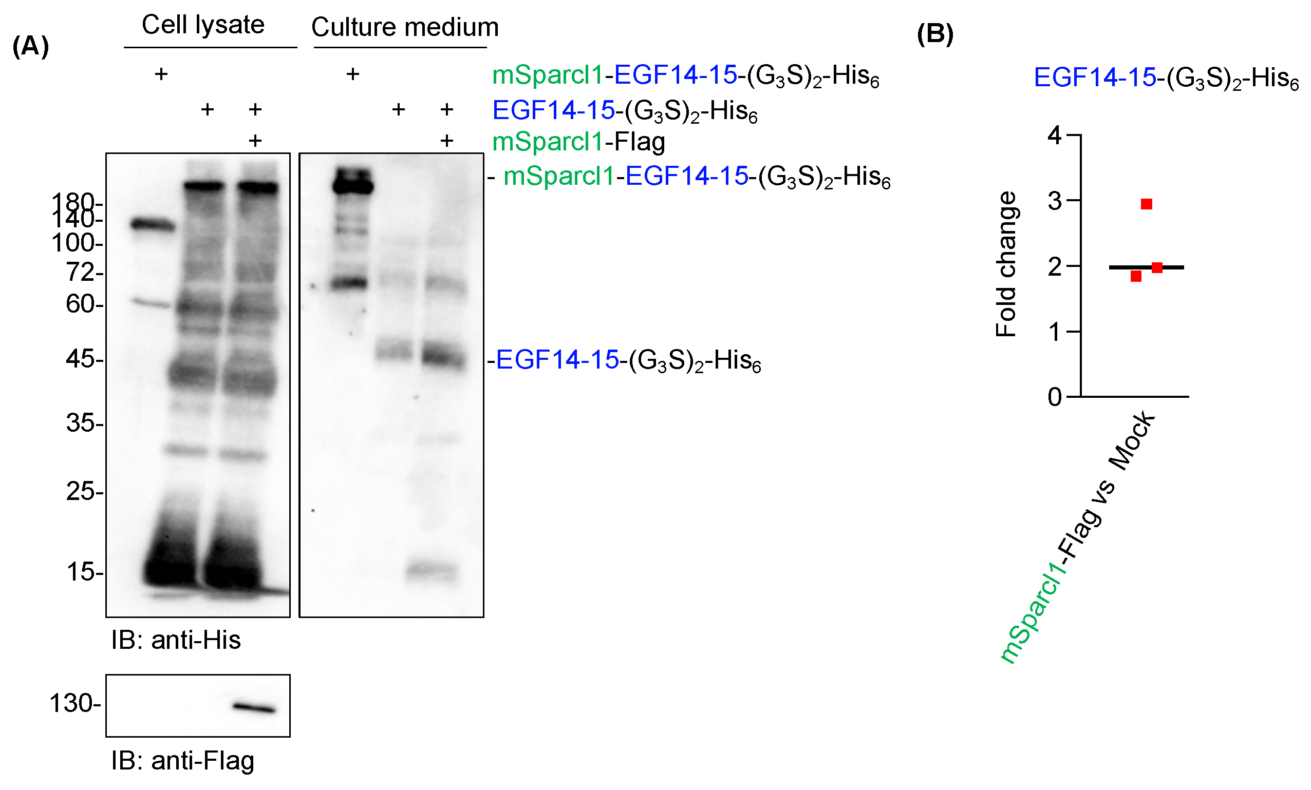 Molecules 29 01031 g006