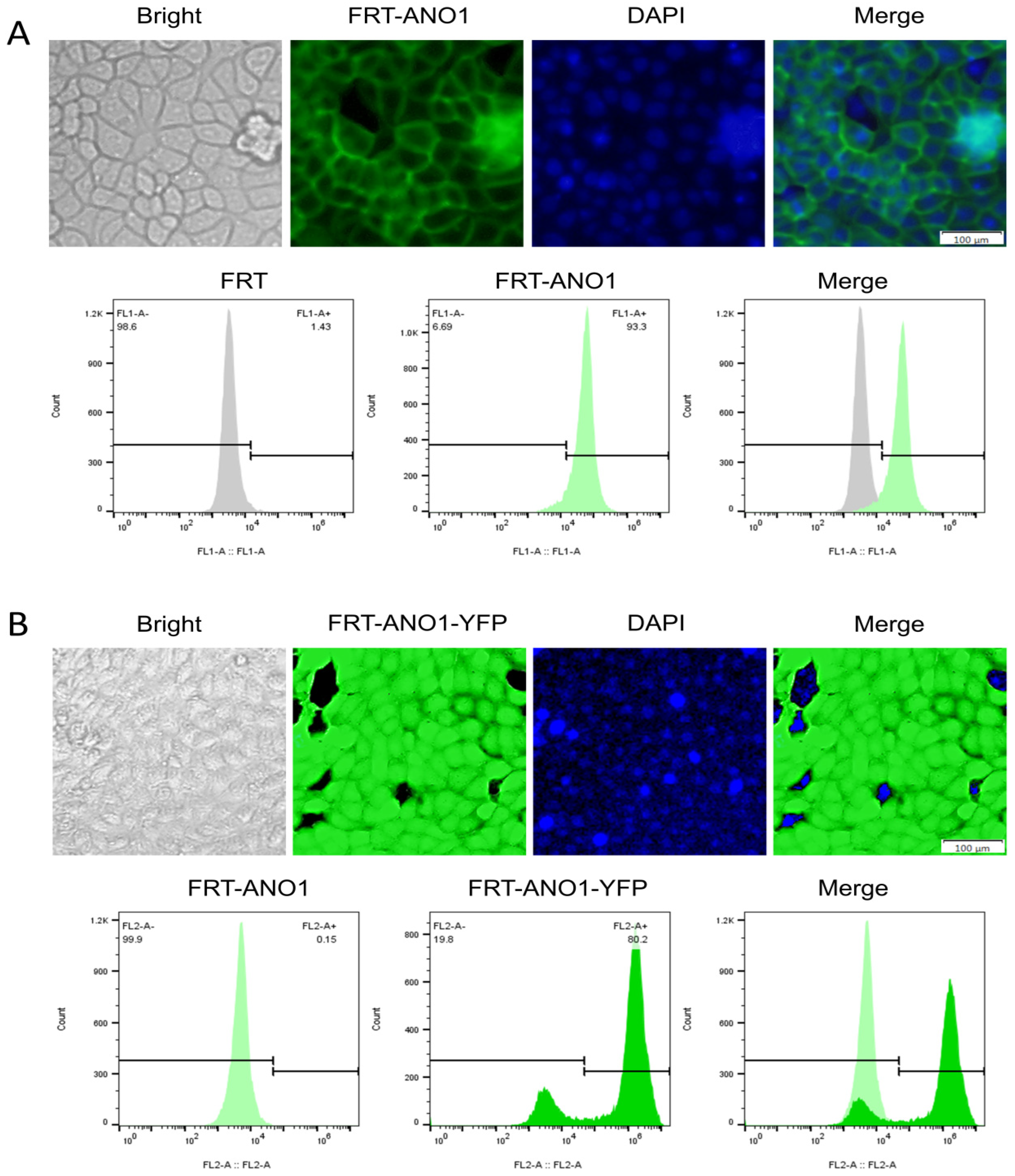 Molecules 29 01036 g004