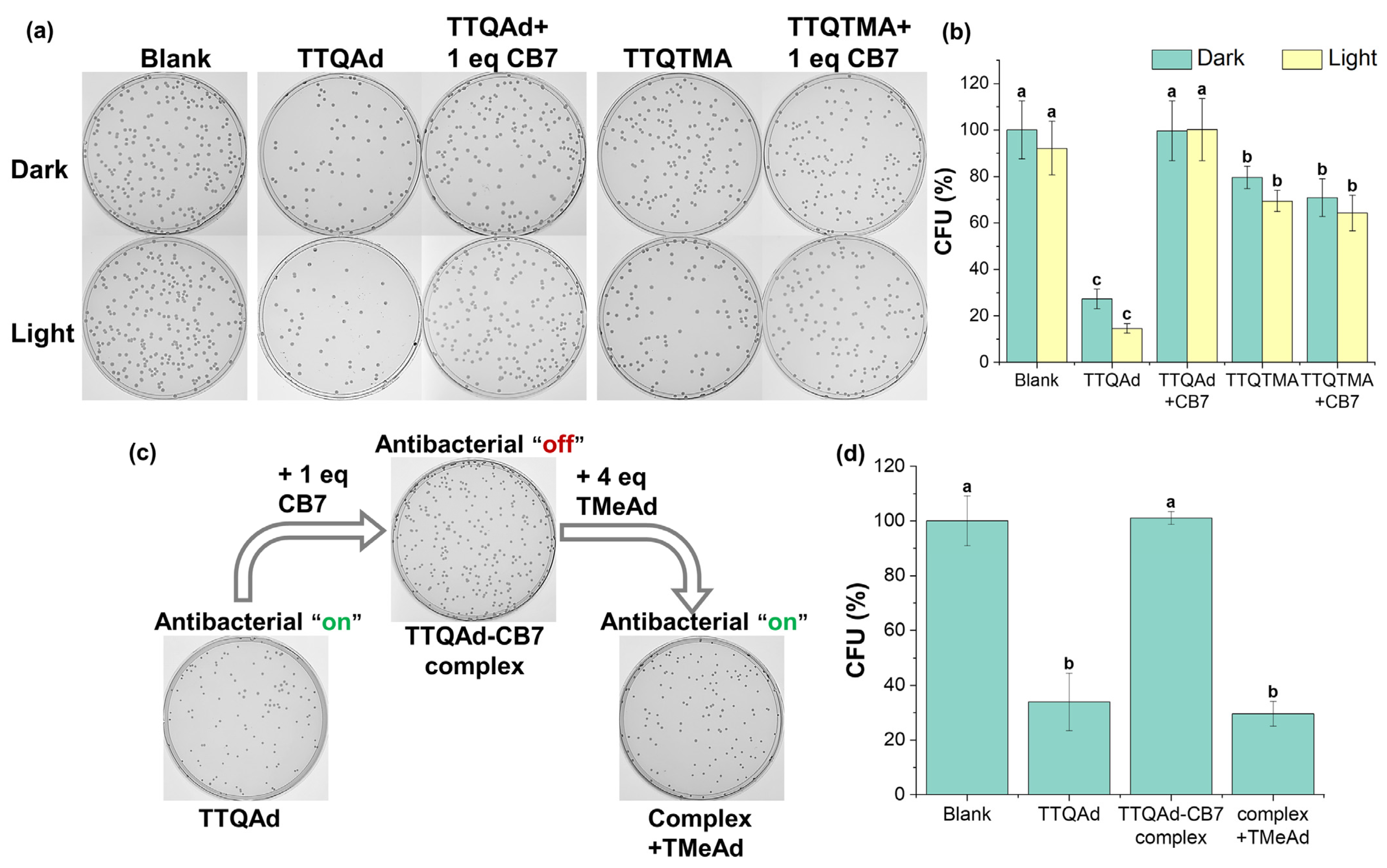 Molecules 29 01040 g004