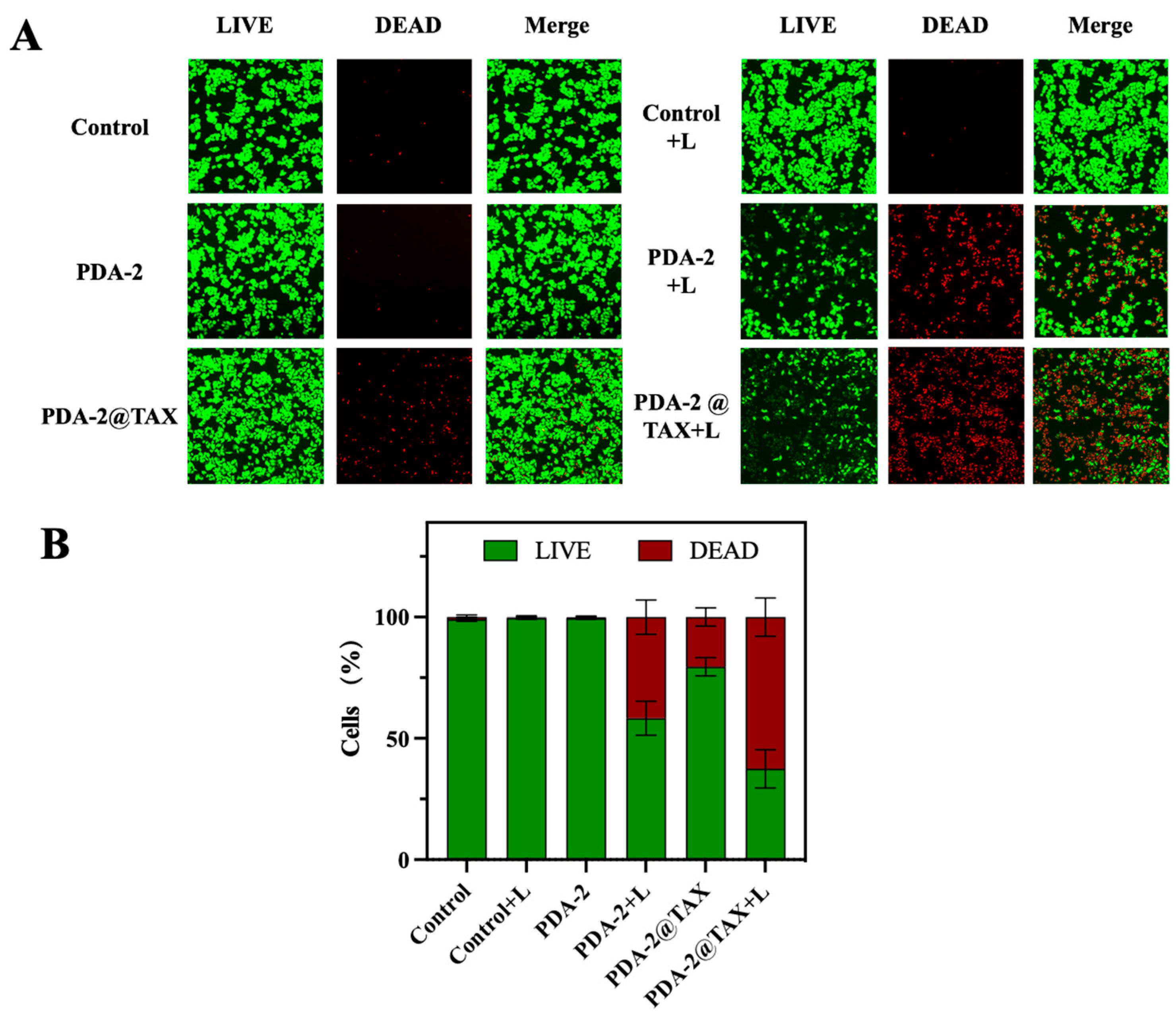 Molecules 29 01042 g006 Molecules 29 01042 g006