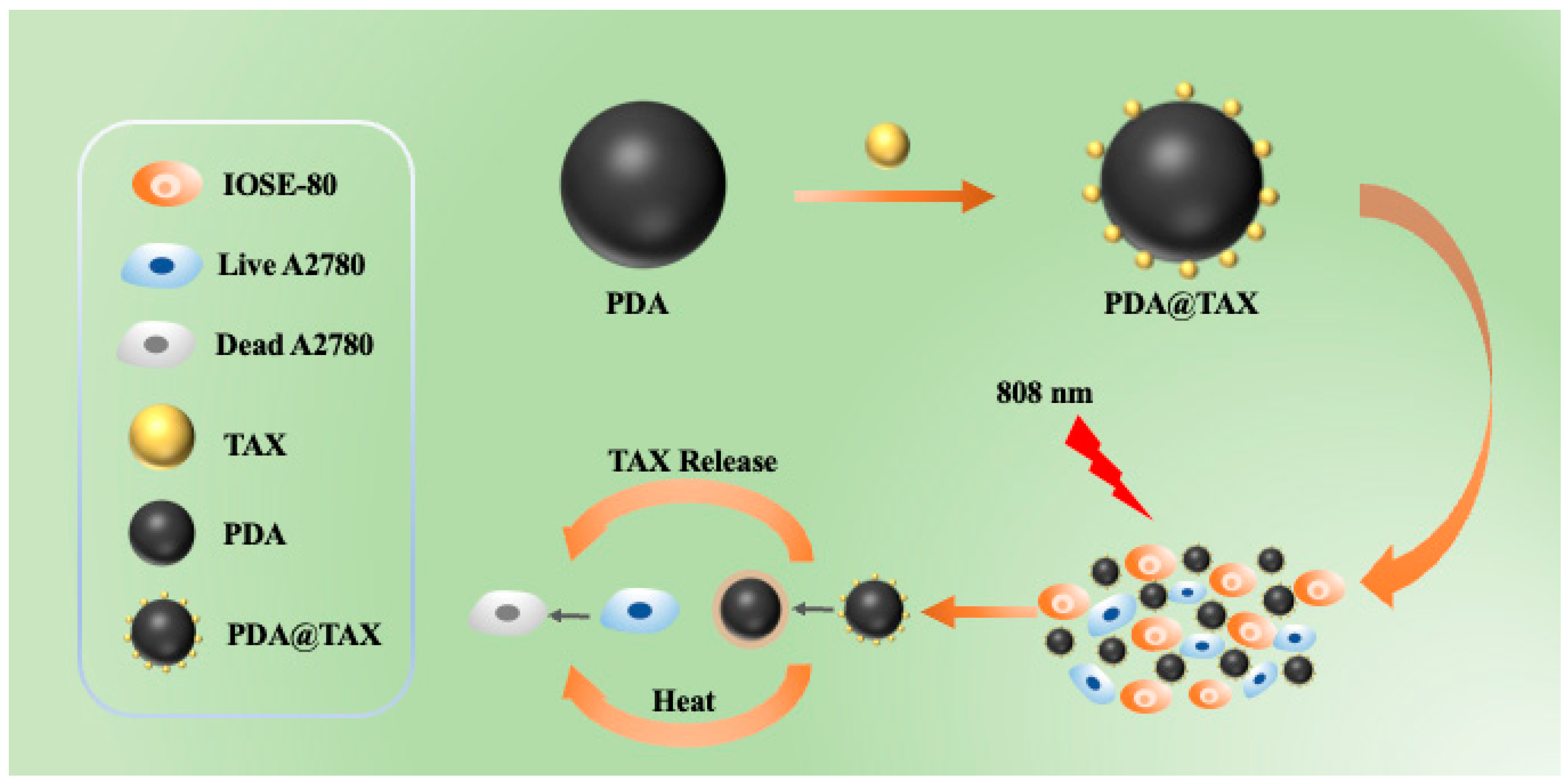 Molecules 29 01042 sch001 Molecules 29 01042 sch001