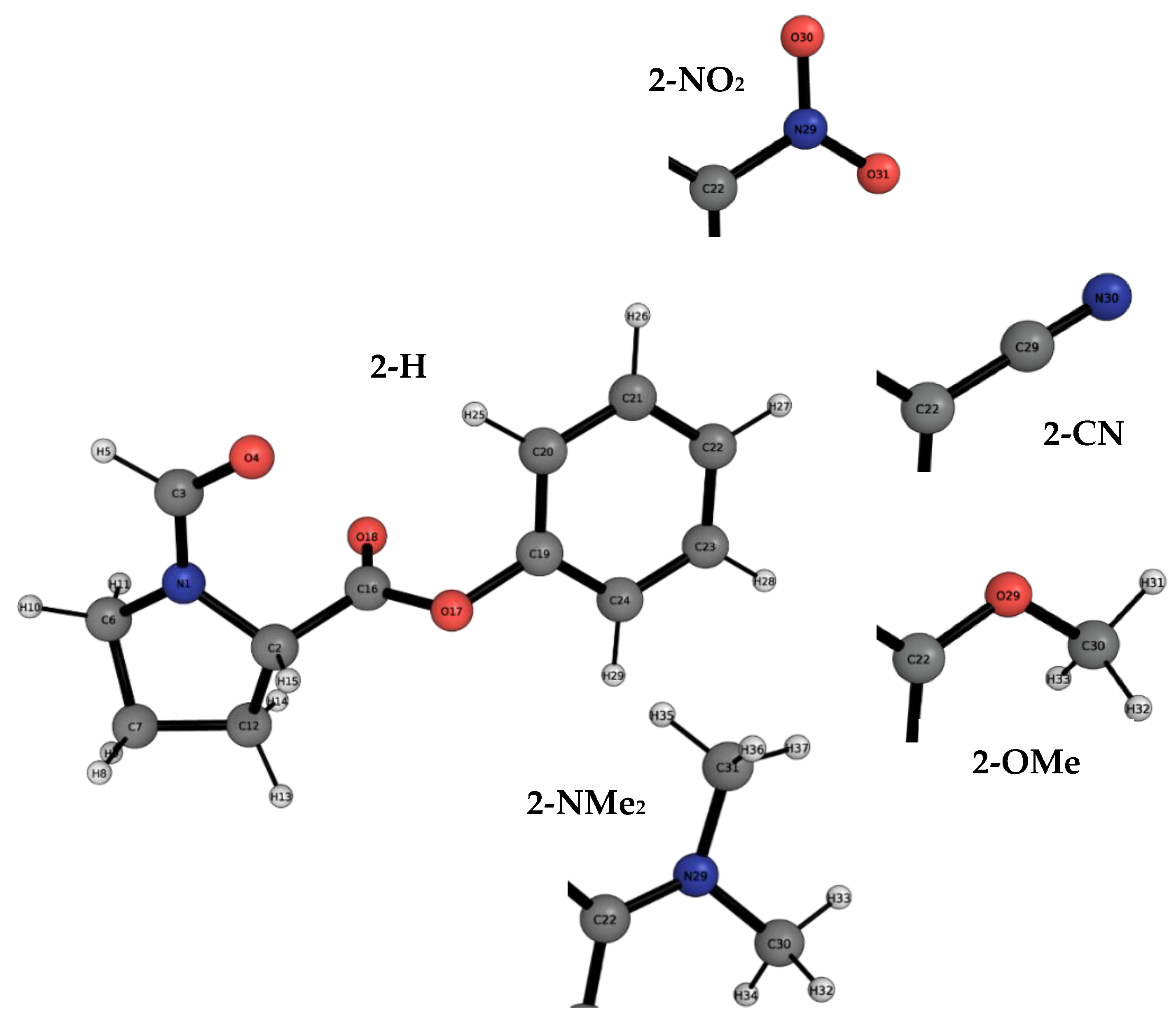 Molecules 29 01043 g006