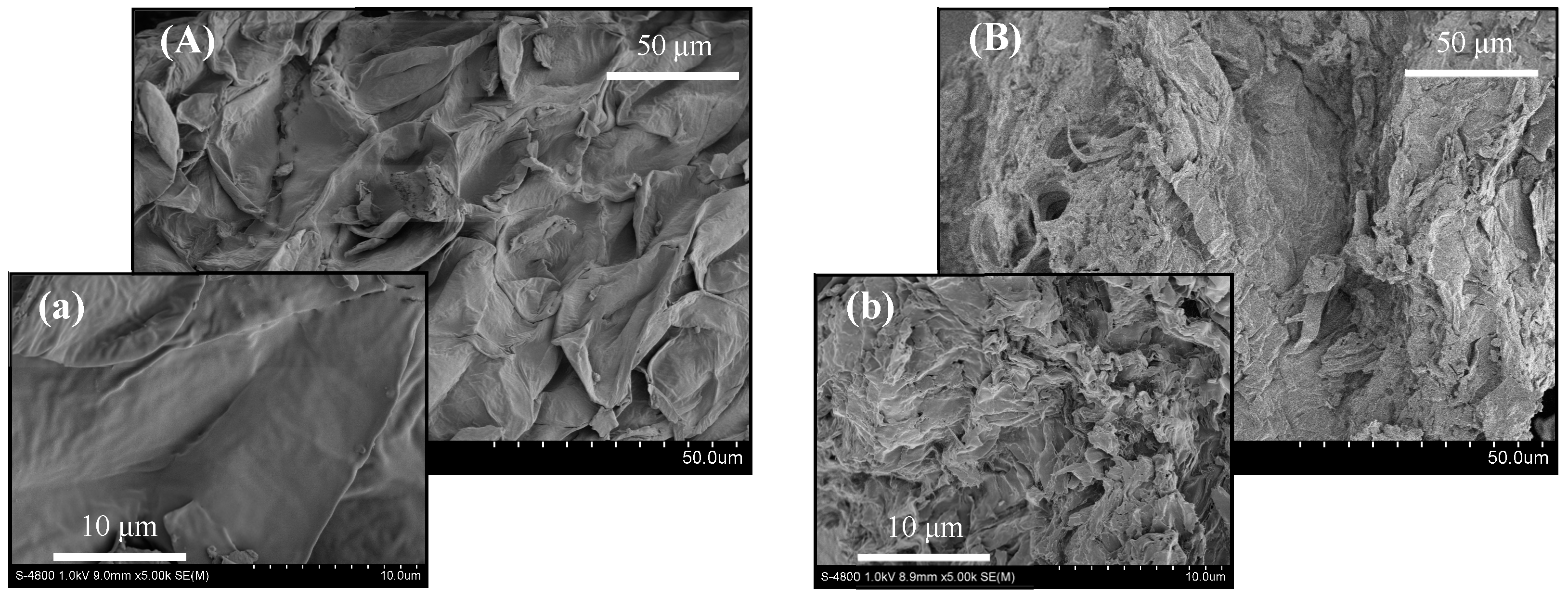 Molecules 29 01046 g001 Molecules 29 01046 g001