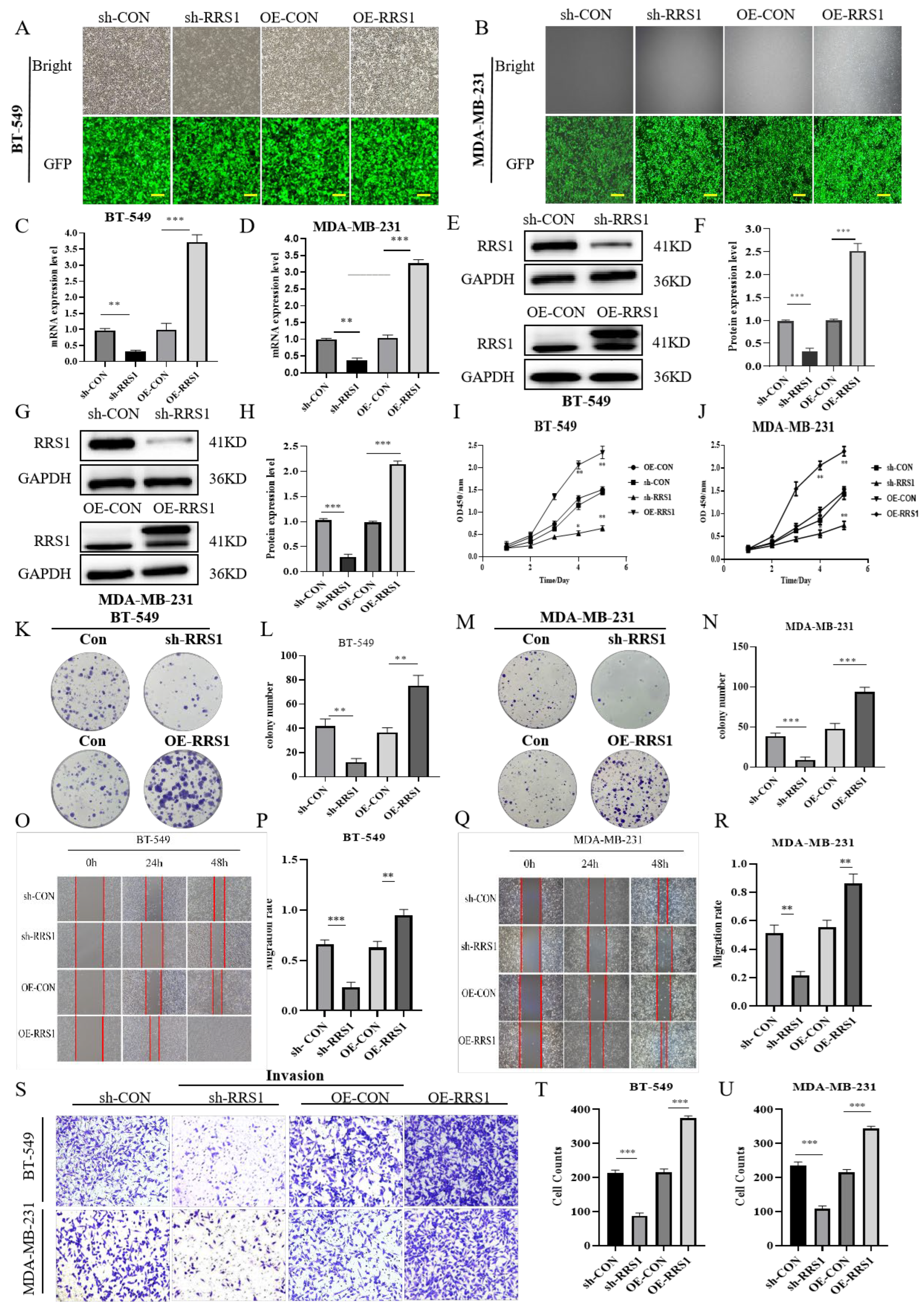 Molecules 29 01051 g002