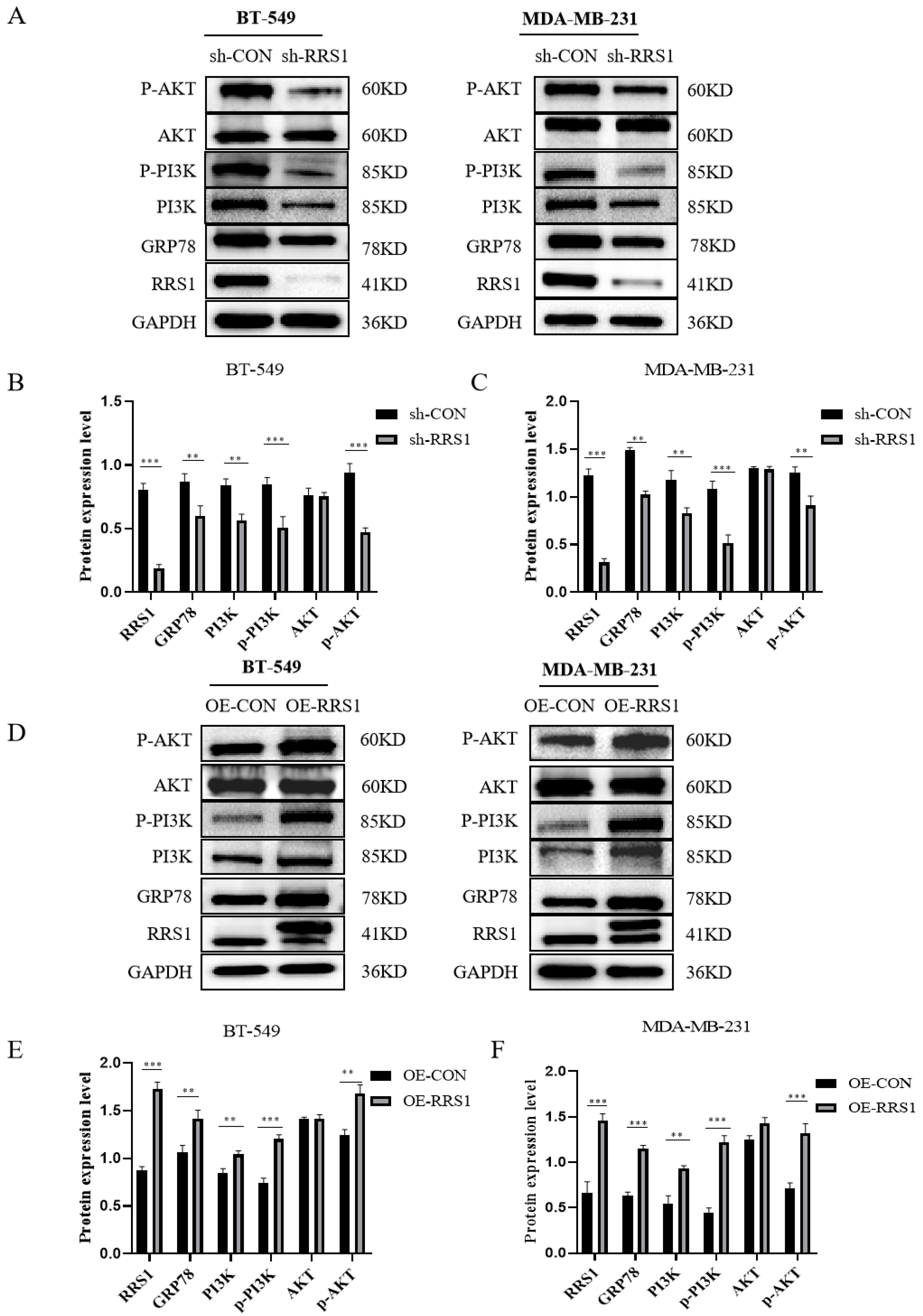 Molecules 29 01051 g005