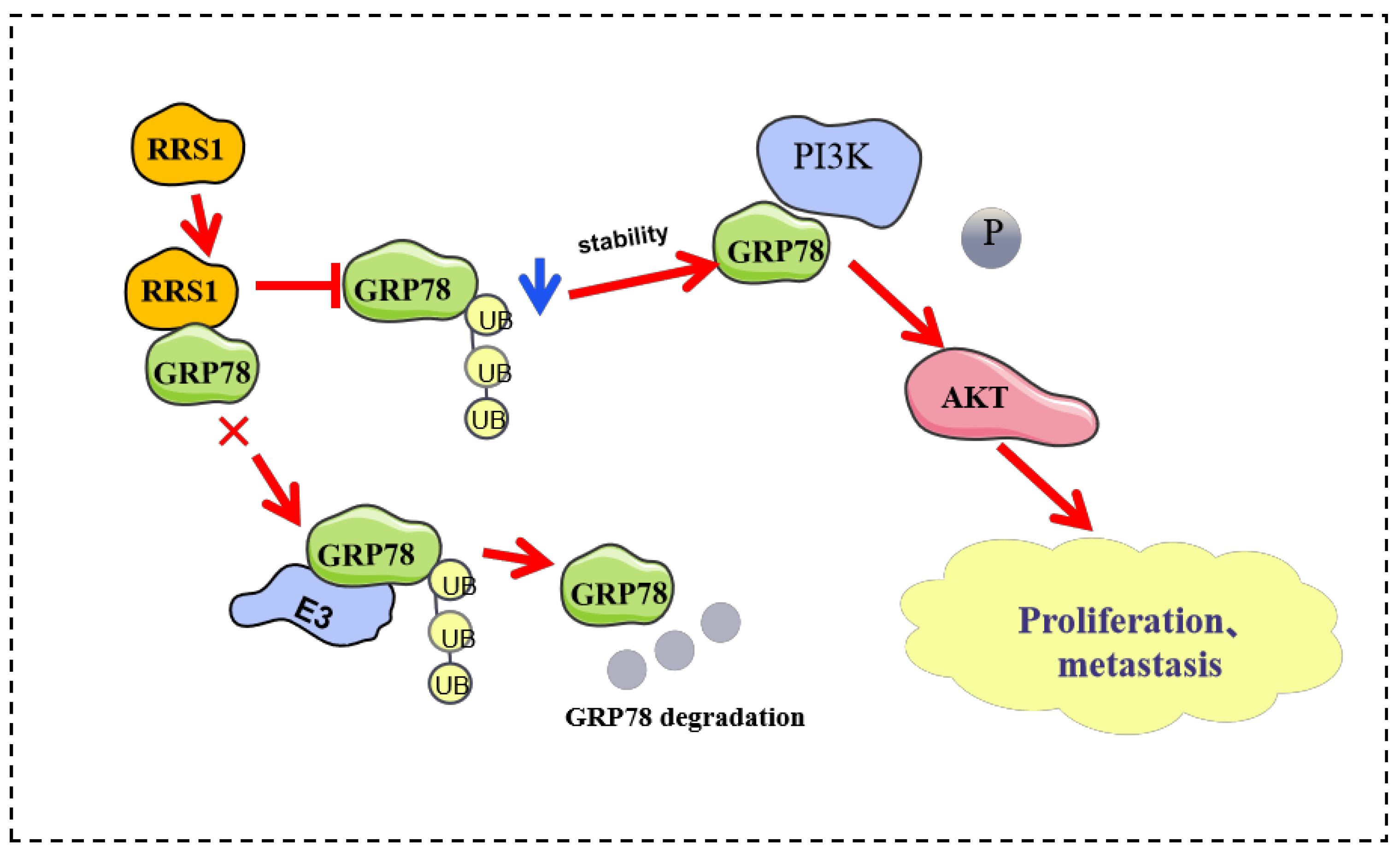 Molecules 29 01051 g007