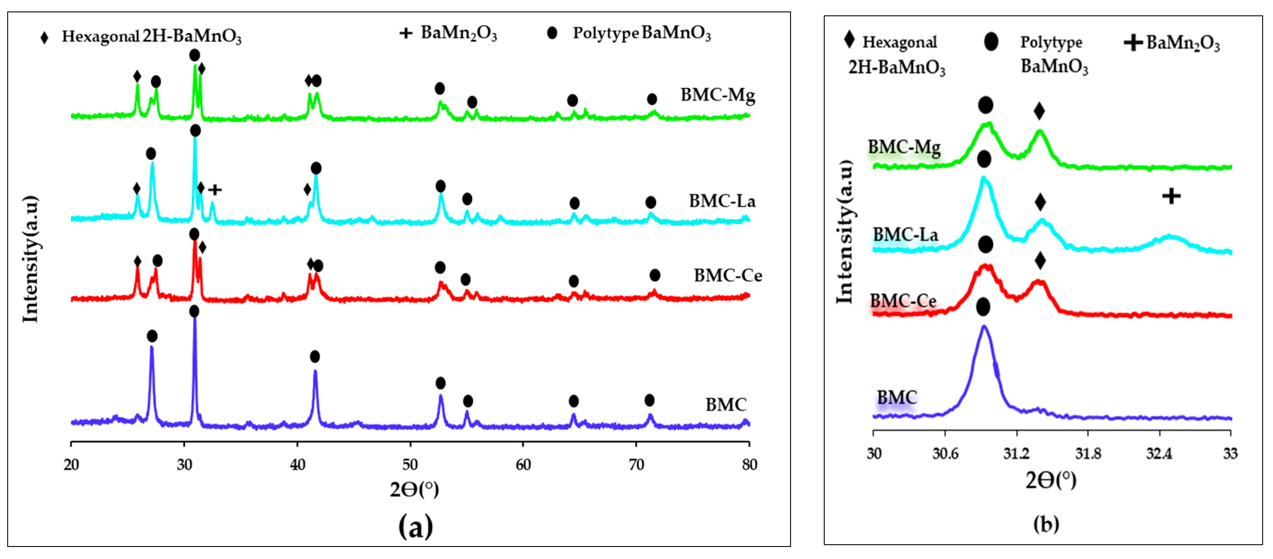 Molecules 29 01056 g001