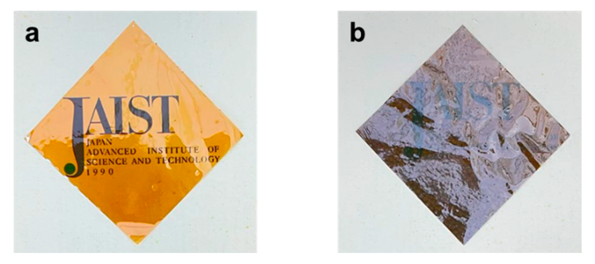 Molecules 29 01058 g006