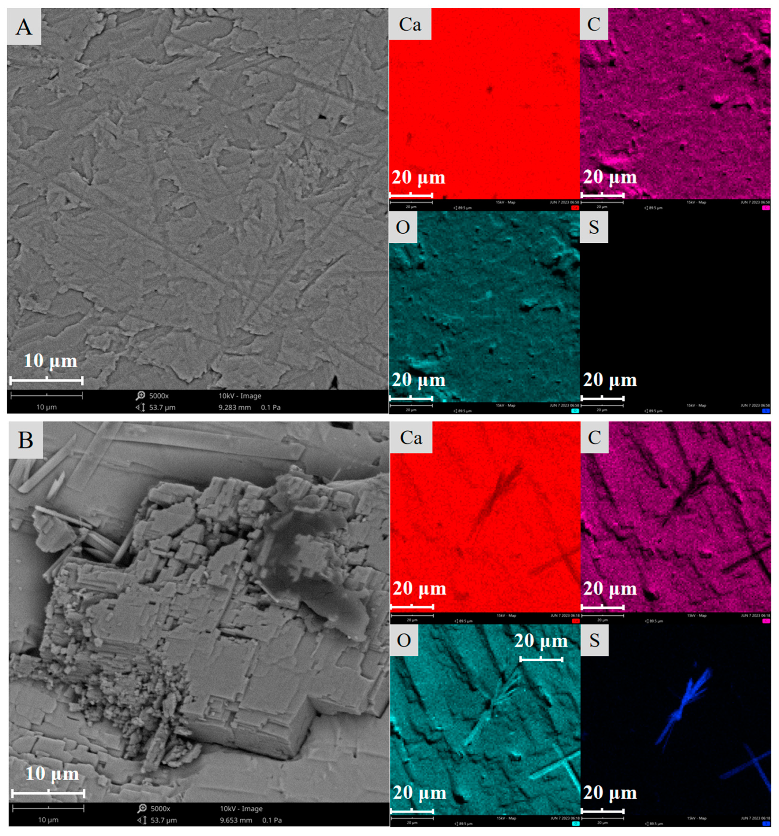 Molecules 29 01062 g002a Molecules 29 01062 g002a