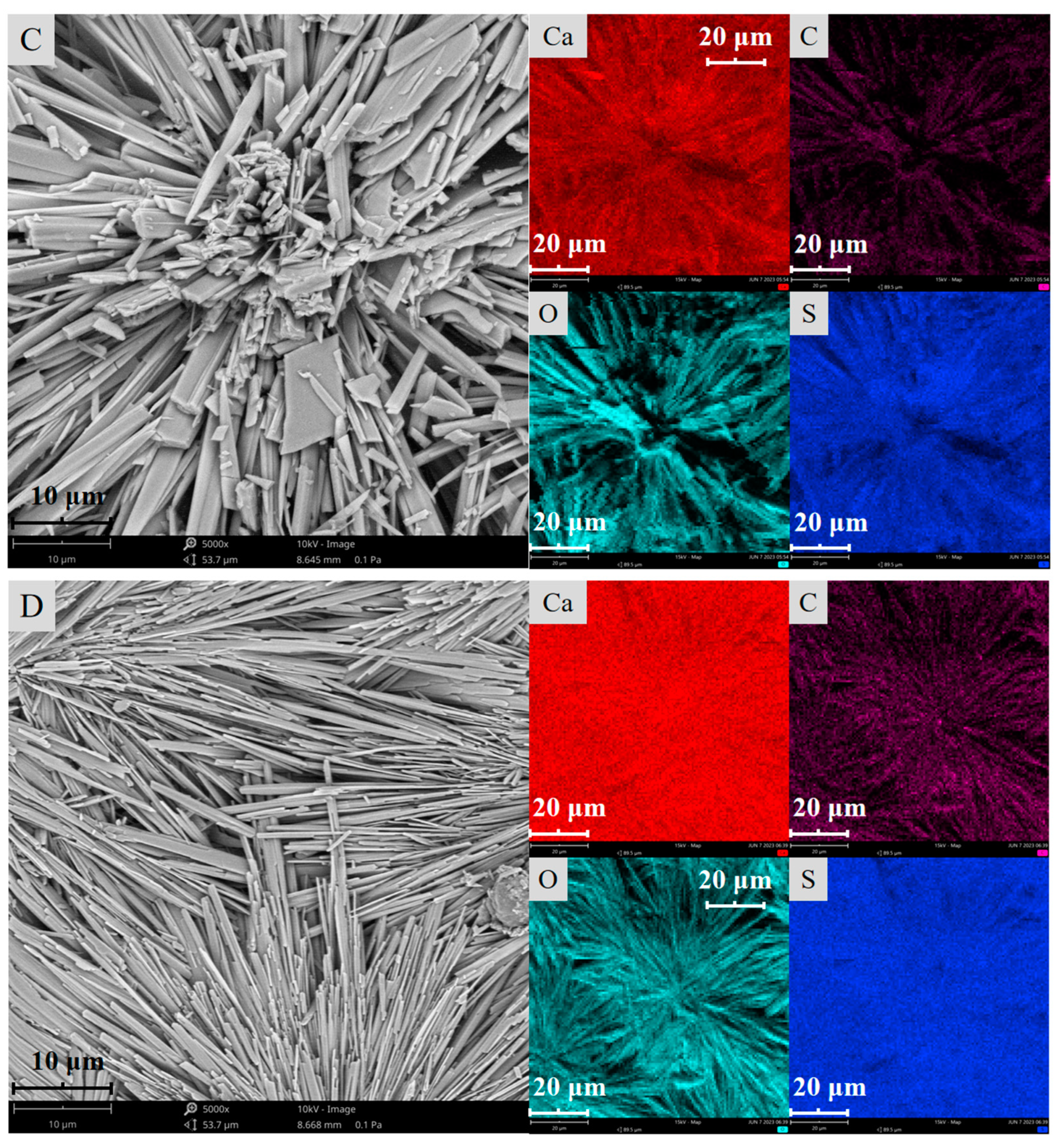Molecules 29 01062 g002b Molecules 29 01062 g002b