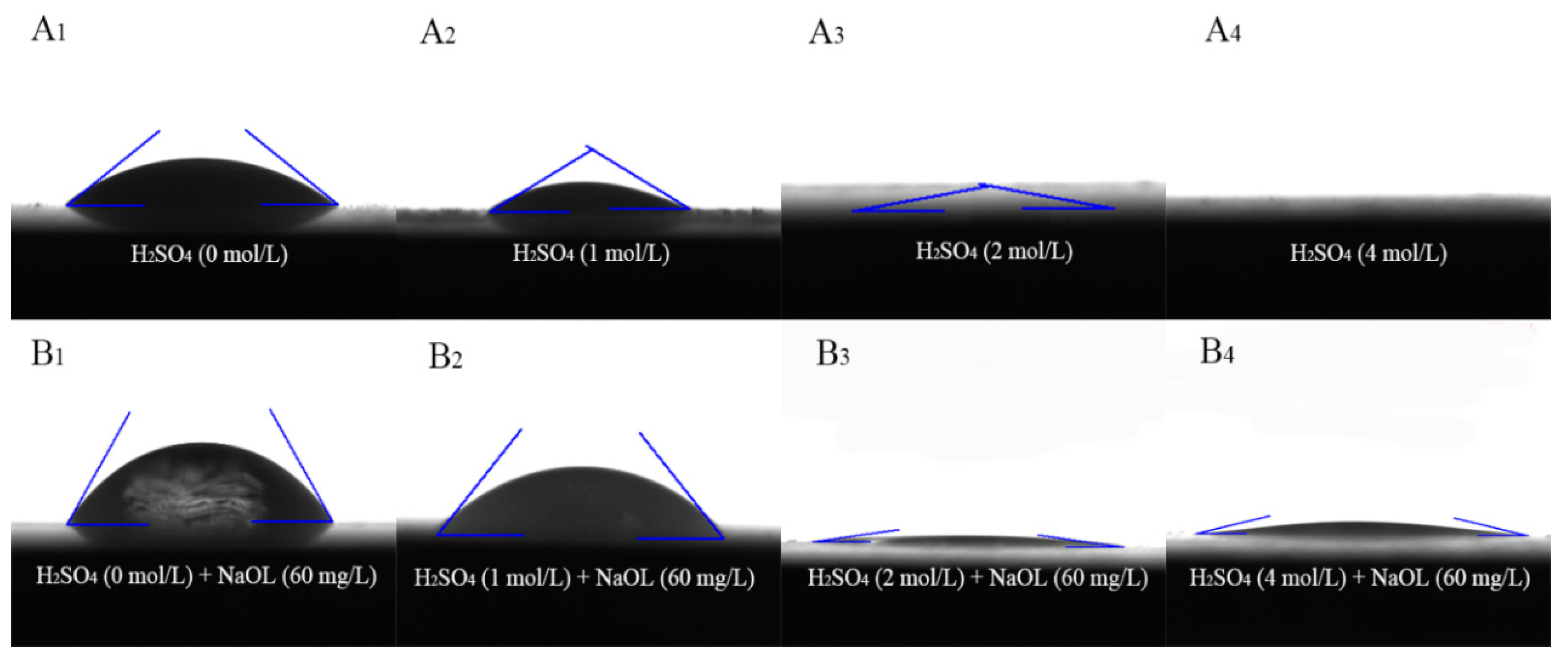 Molecules 29 01062 g007 Molecules 29 01062 g007