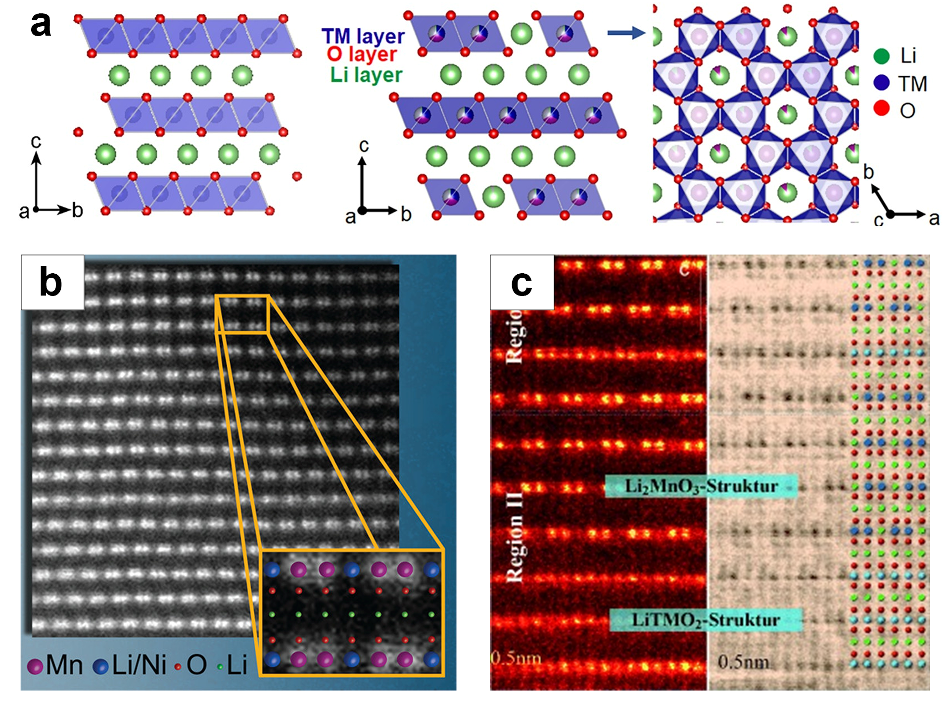 Molecules 29 01064 g002