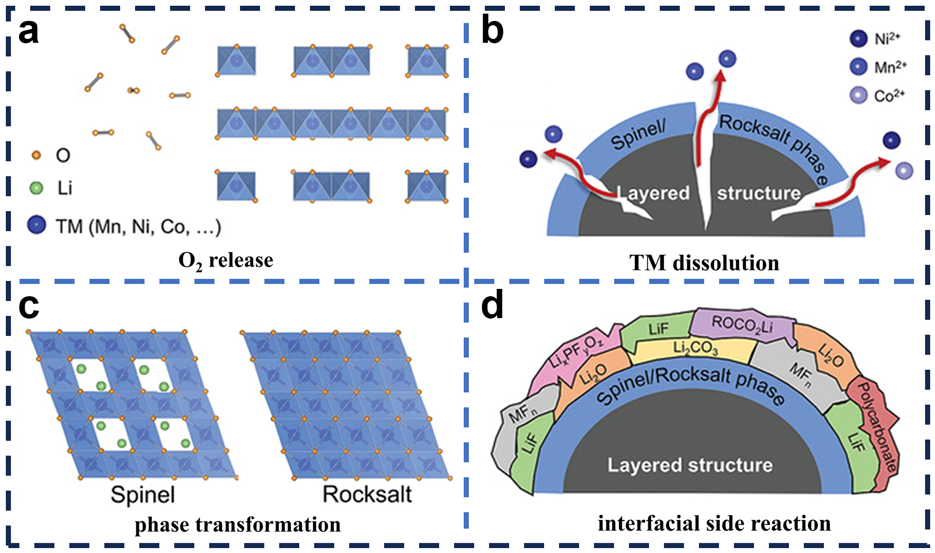 Molecules 29 01064 g004