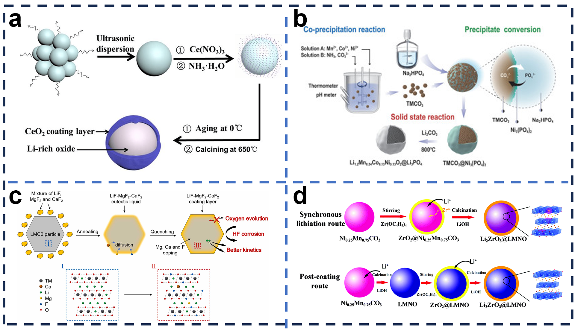 Molecules 29 01064 g005