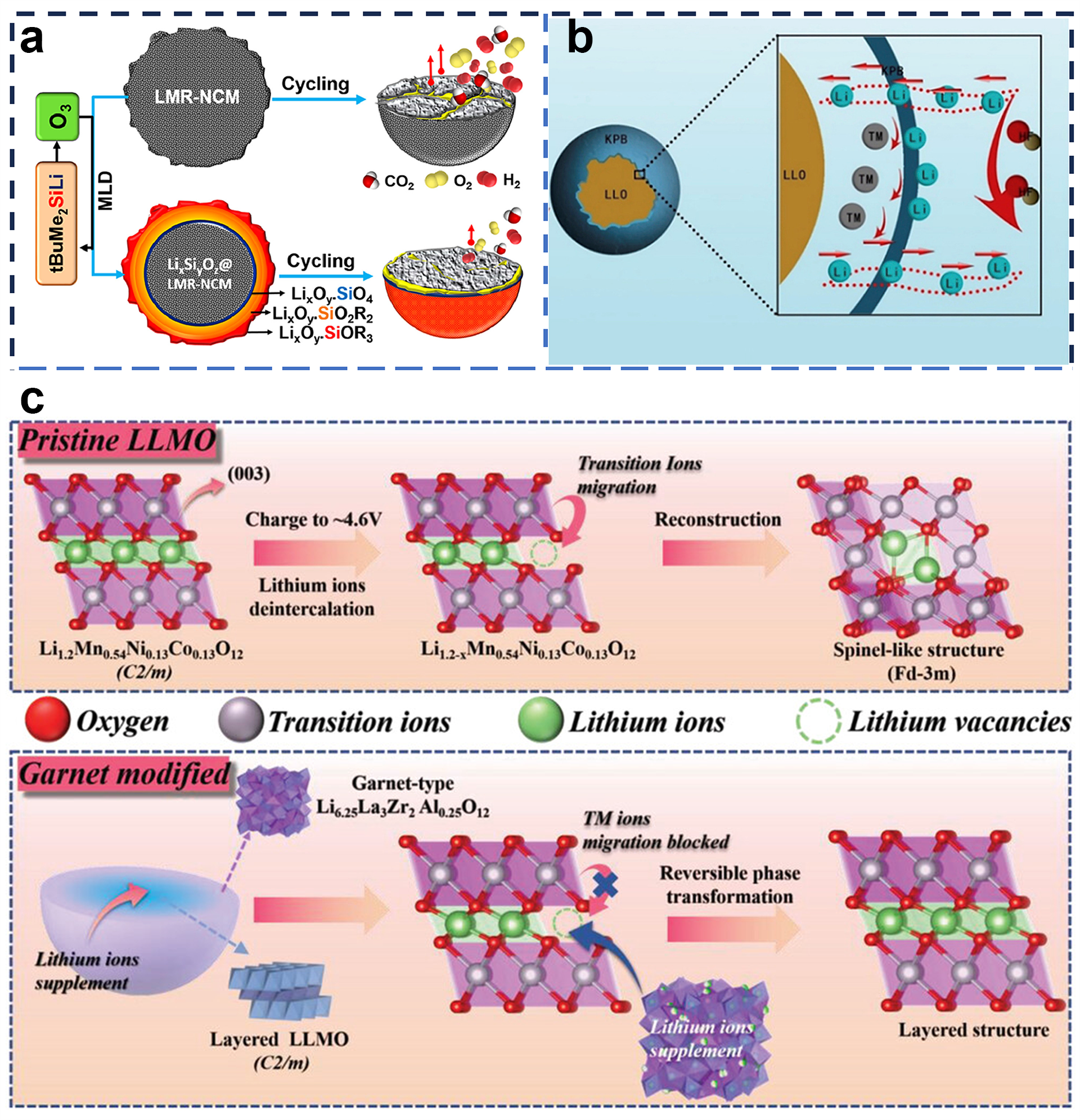 Molecules 29 01064 g006