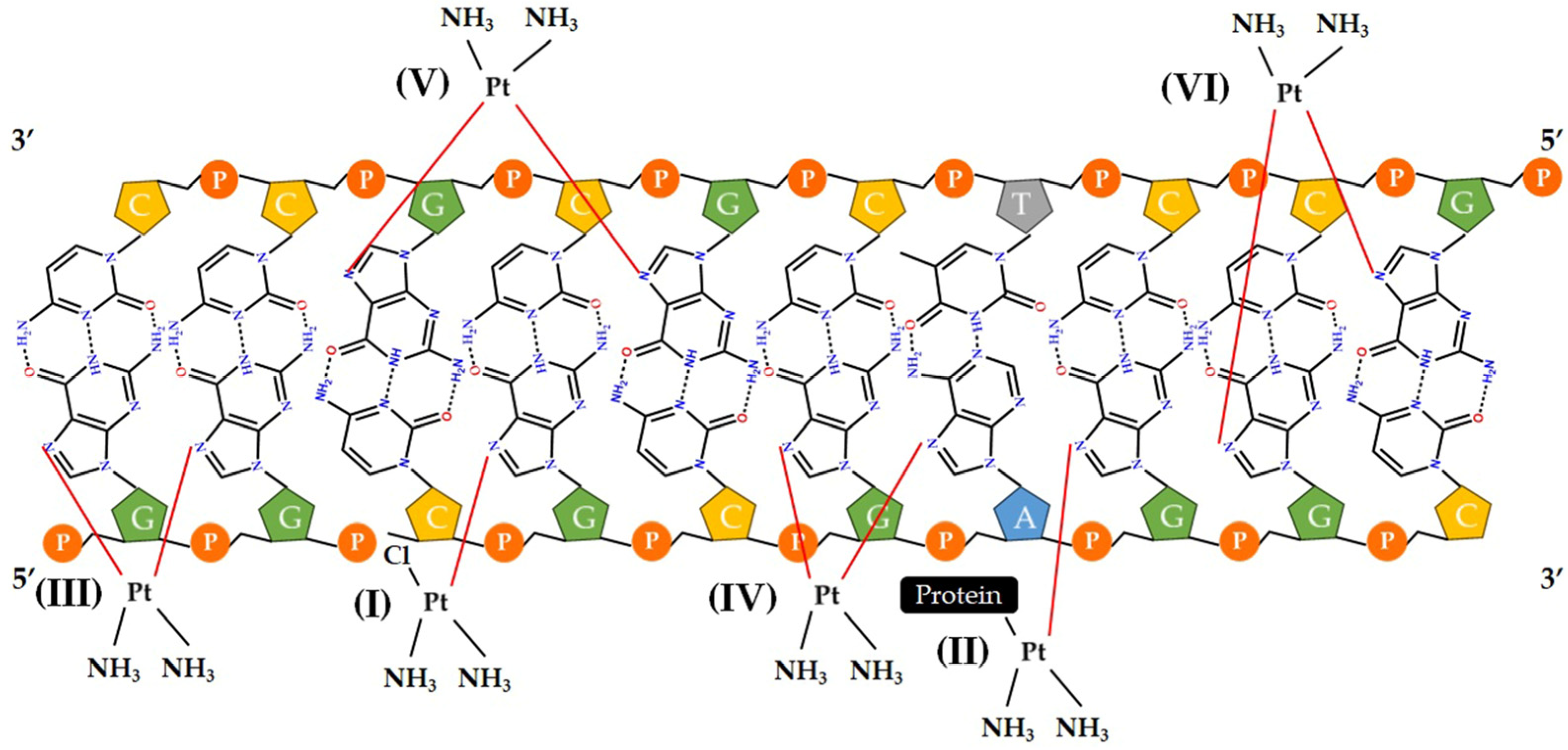 Molecules 29 01066 g004