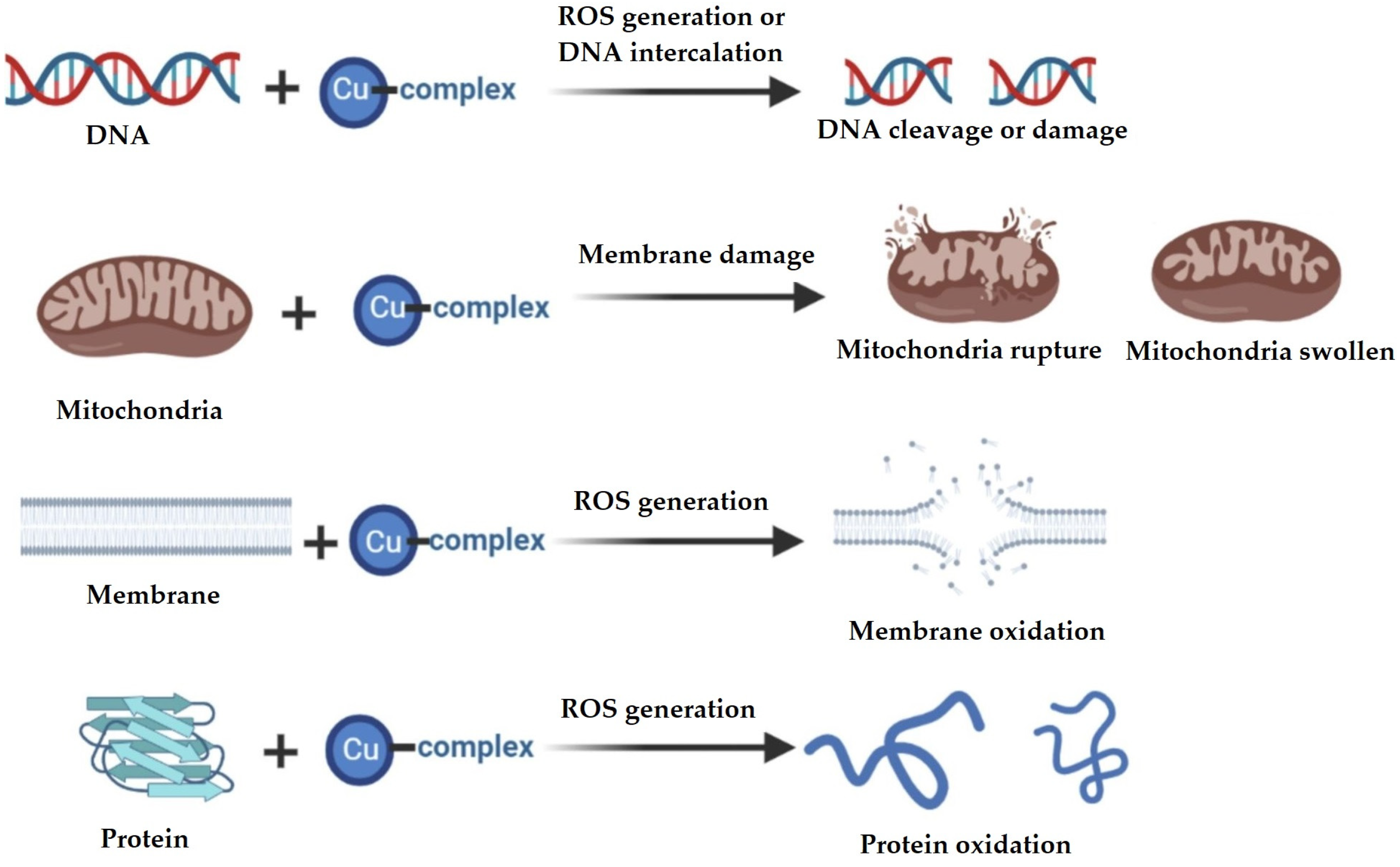 Molecules 29 01066 g005