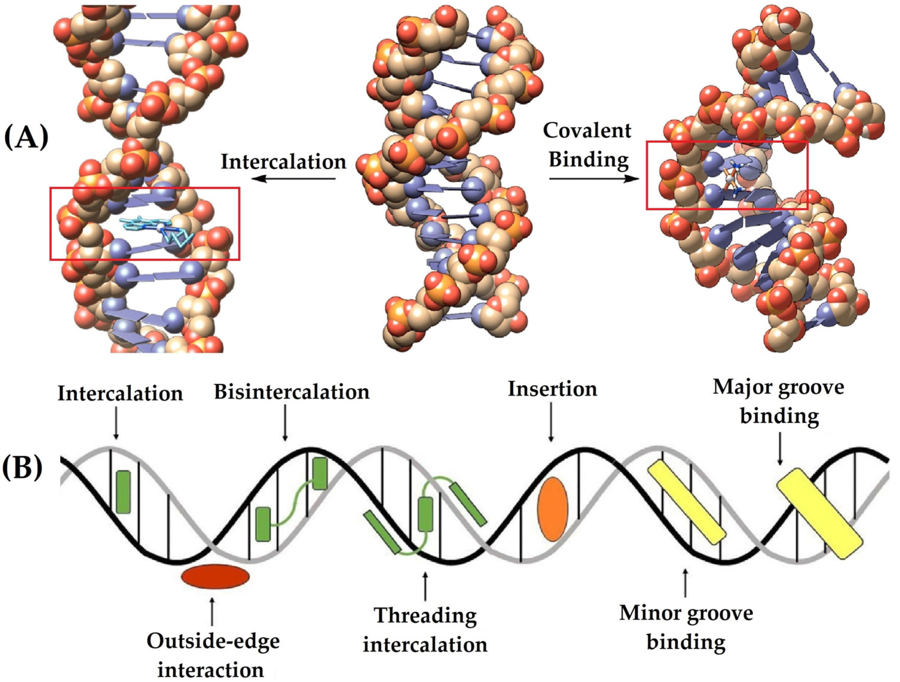 Molecules 29 01066 g006