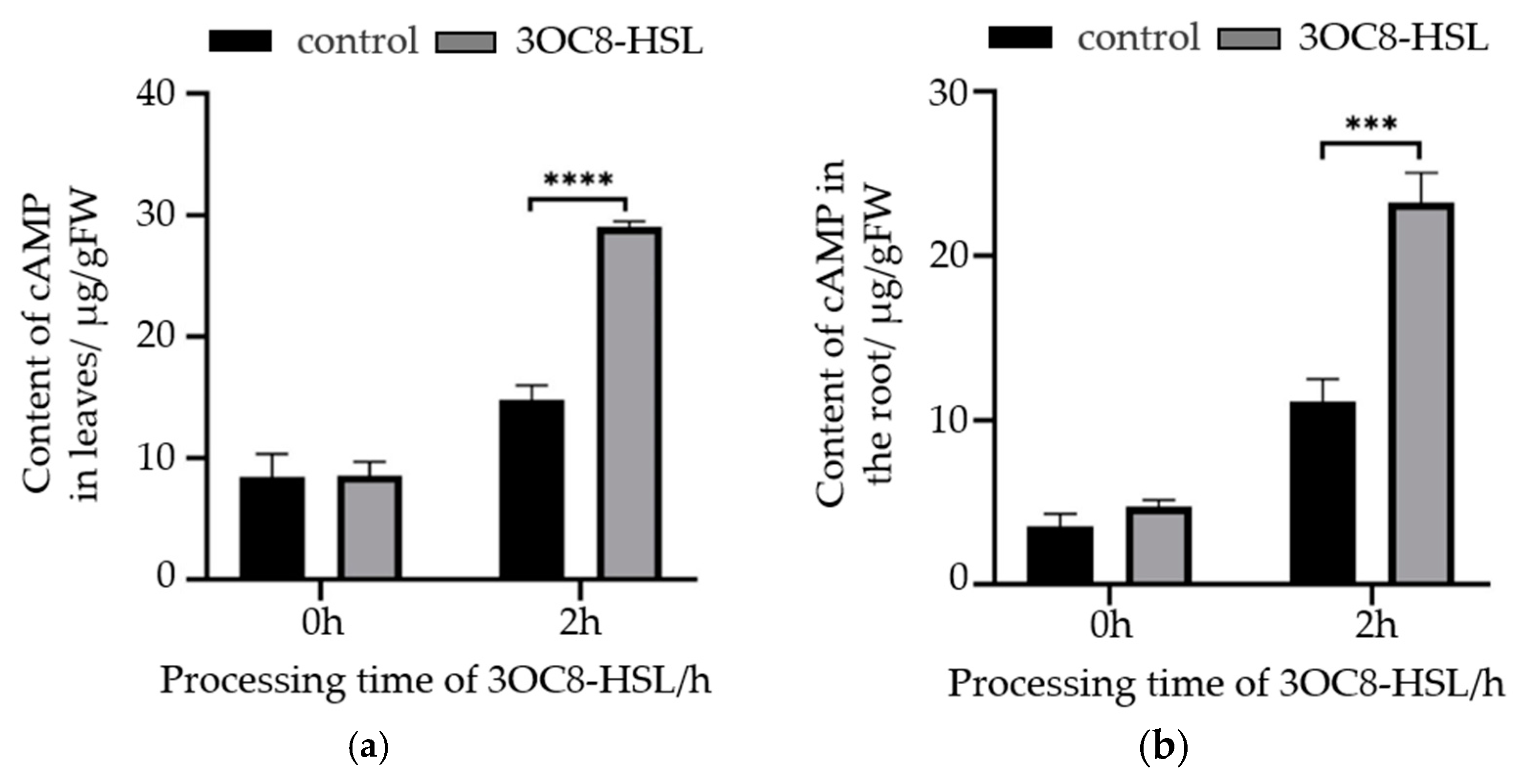 Molecules 29 01074 g005