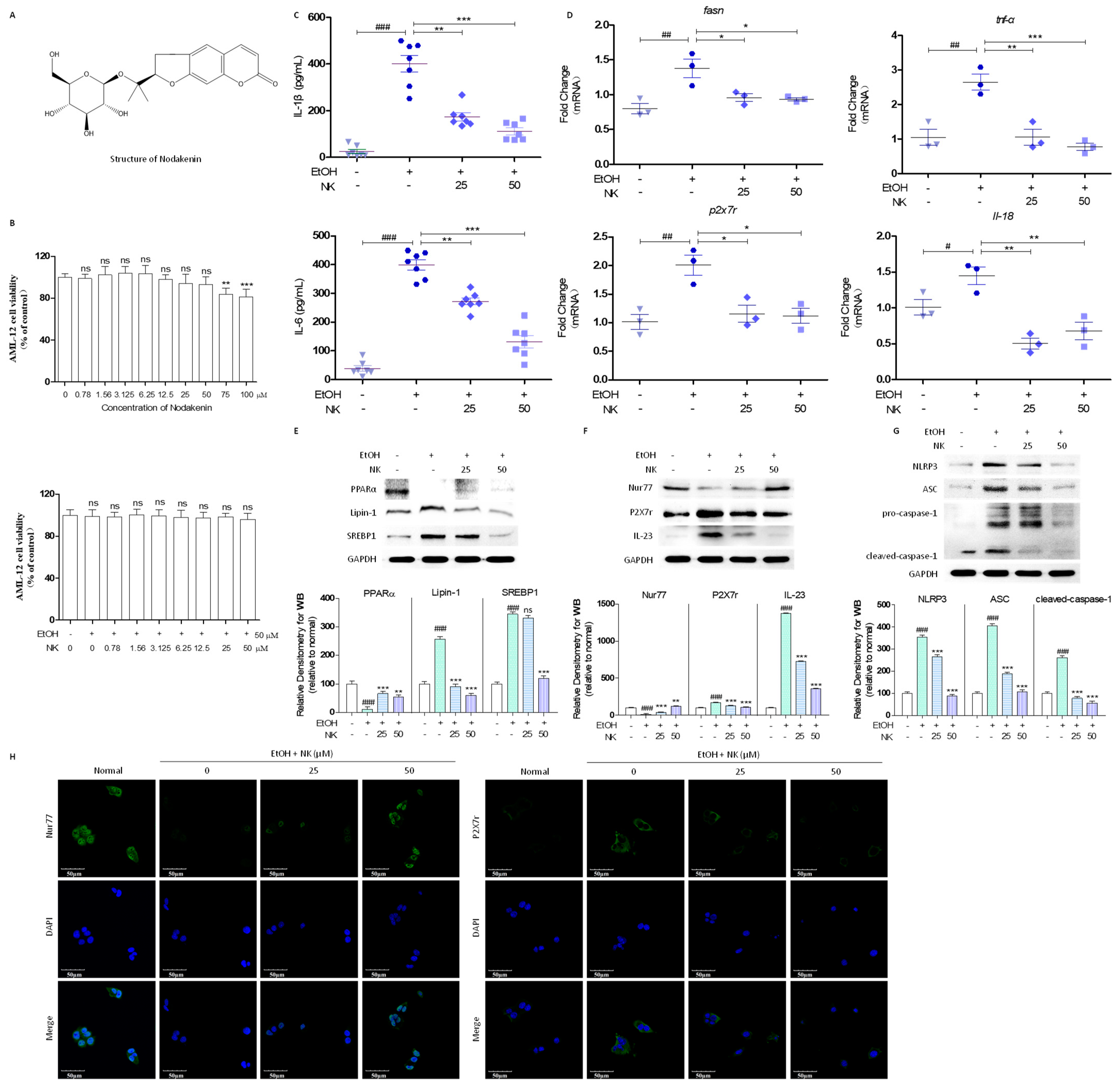 Molecules 29 01078 g001