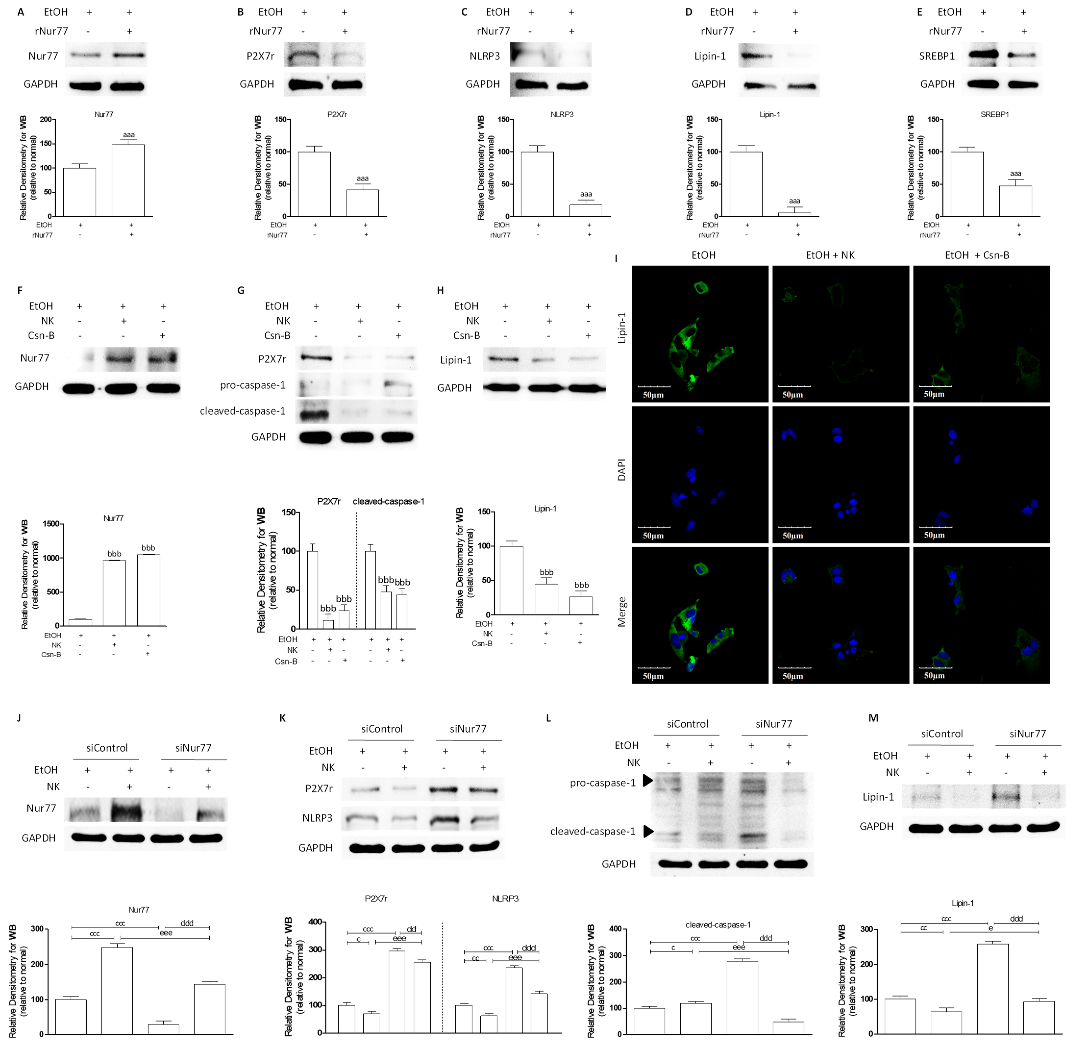 Molecules 29 01078 g002