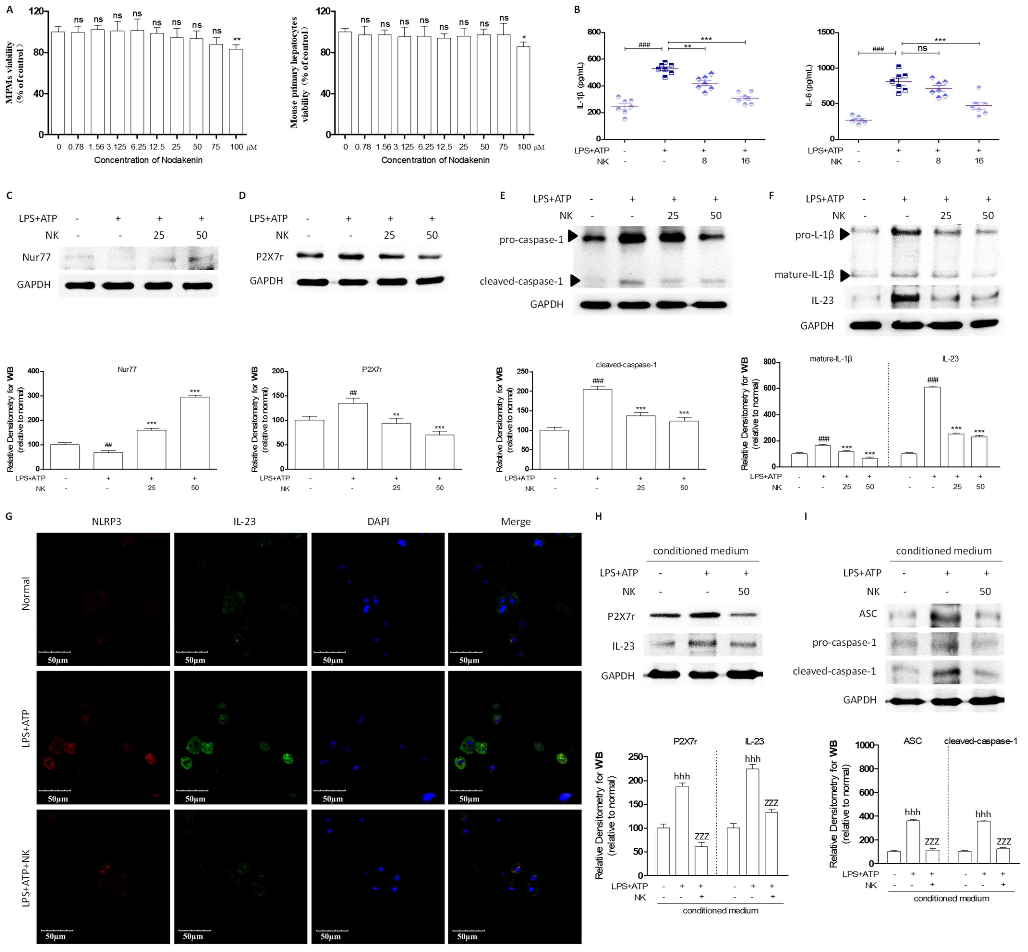 Molecules 29 01078 g003