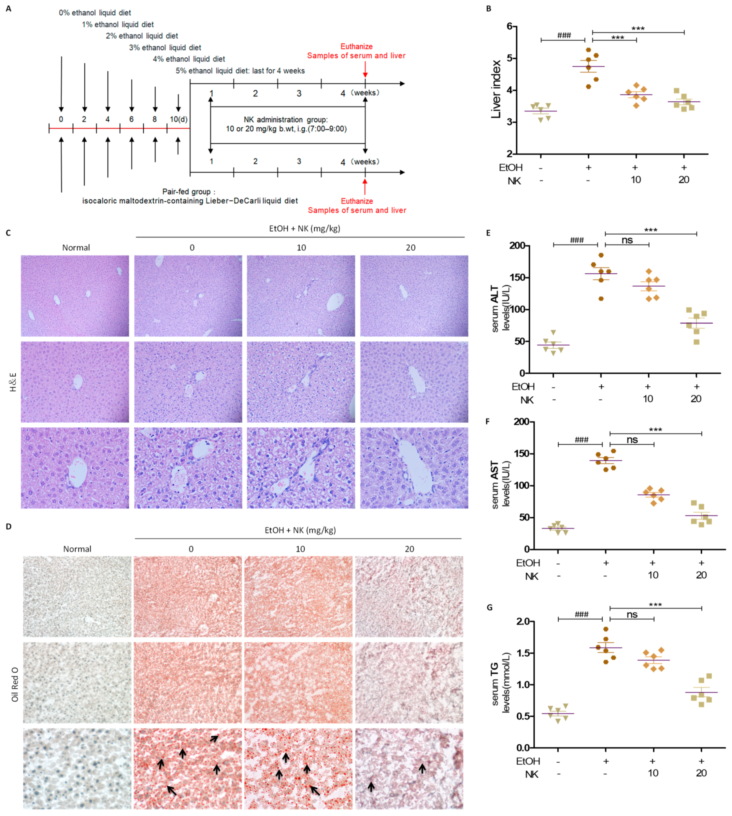 Molecules 29 01078 g004