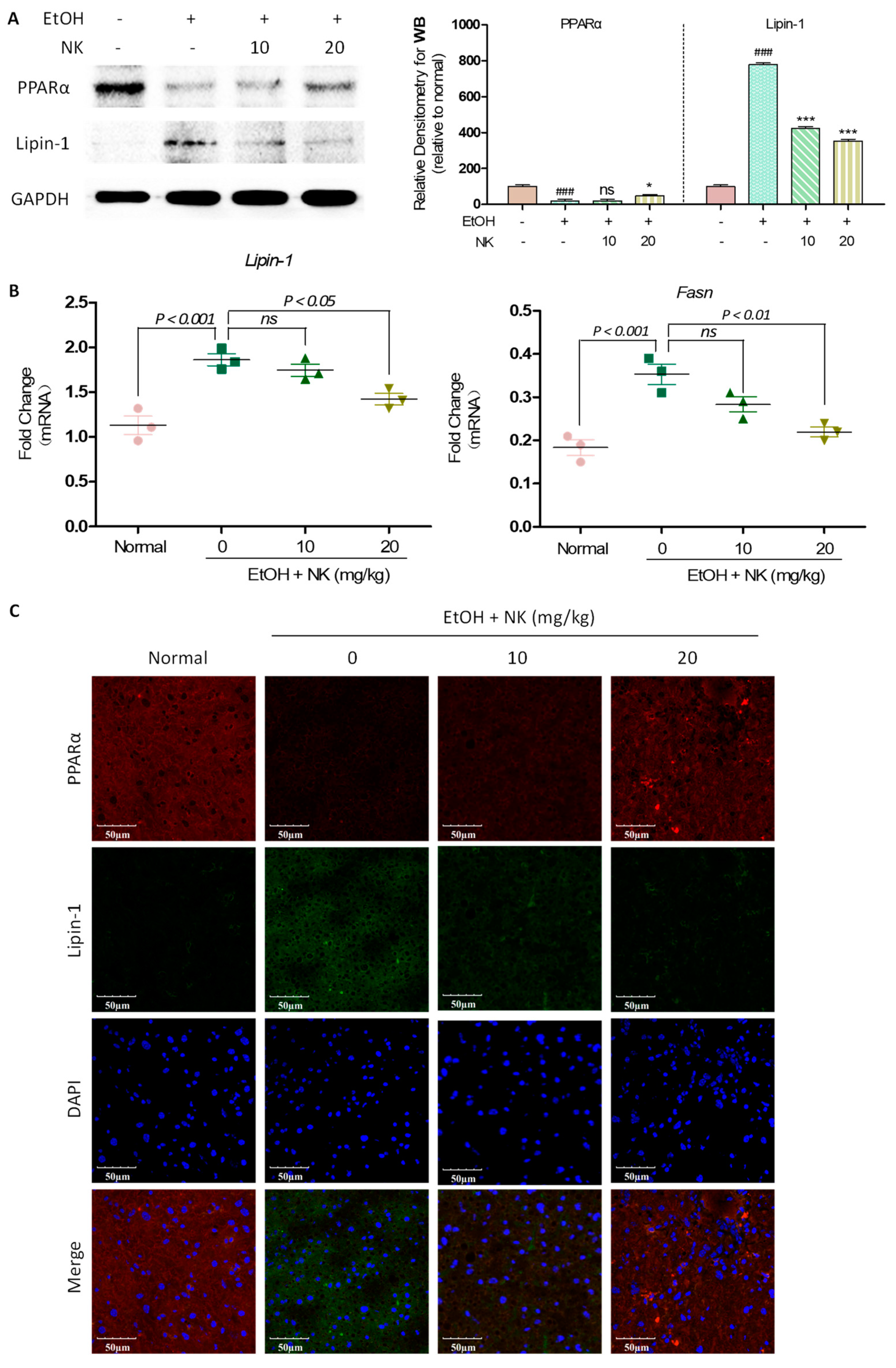 Molecules 29 01078 g005