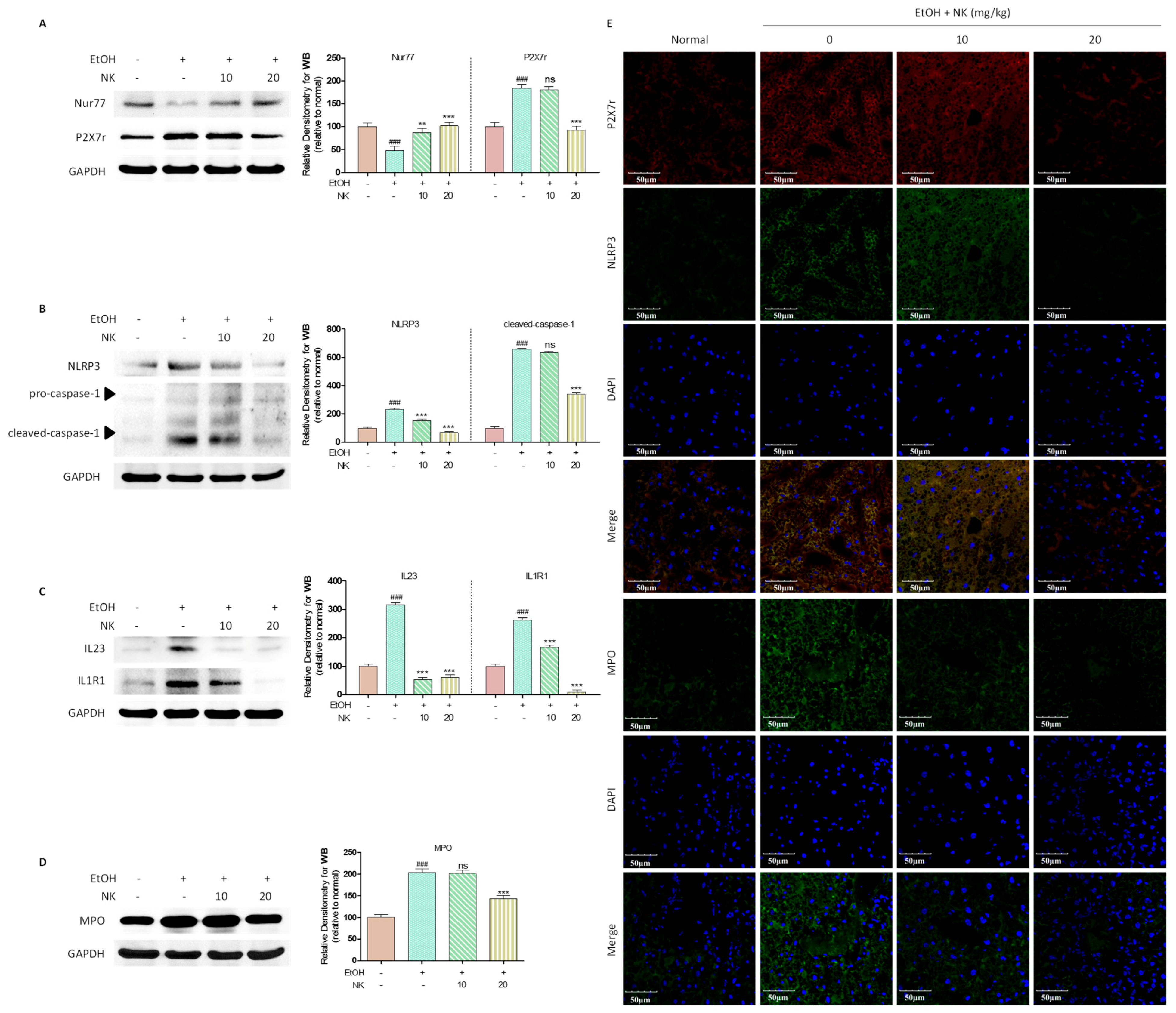 Molecules 29 01078 g006