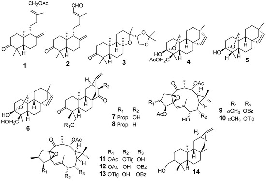 Anti-Inflammatory and Cytotoxic Compounds Isolated from Anti-Inflammatory and Cytotoxic Compounds Isolated from