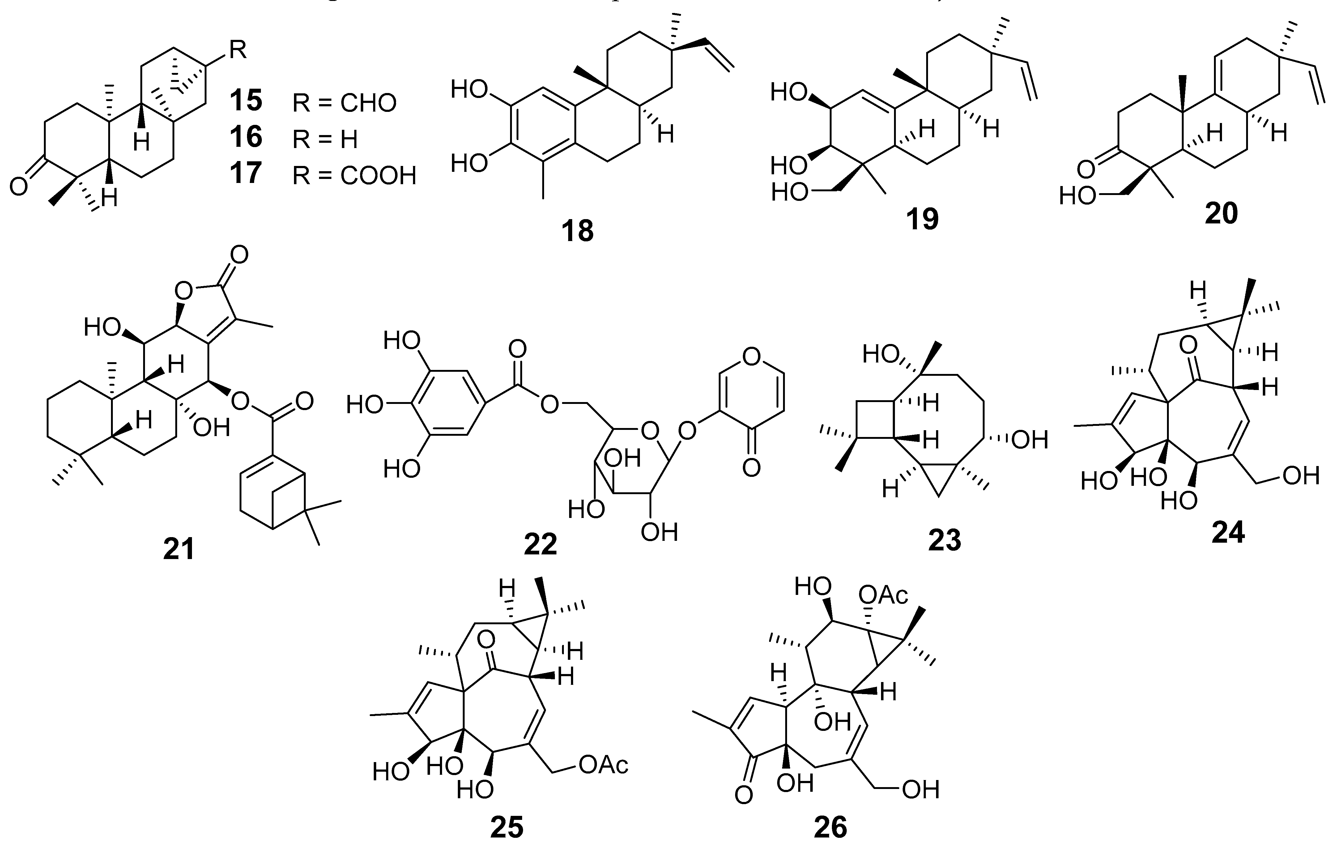 Molecules 29 01083 g002