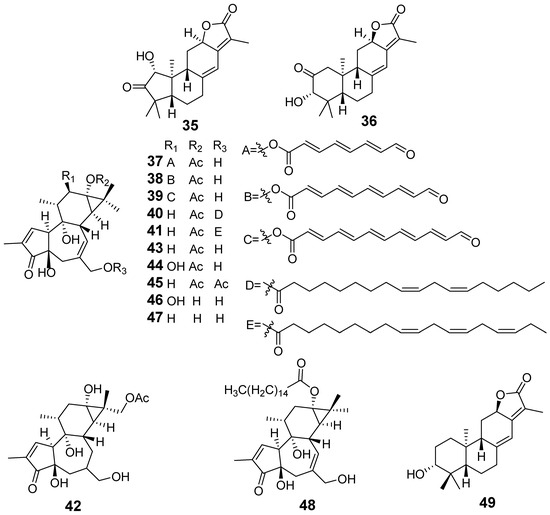 Anti-Inflammatory and Cytotoxic Compounds Isolated from Plants of