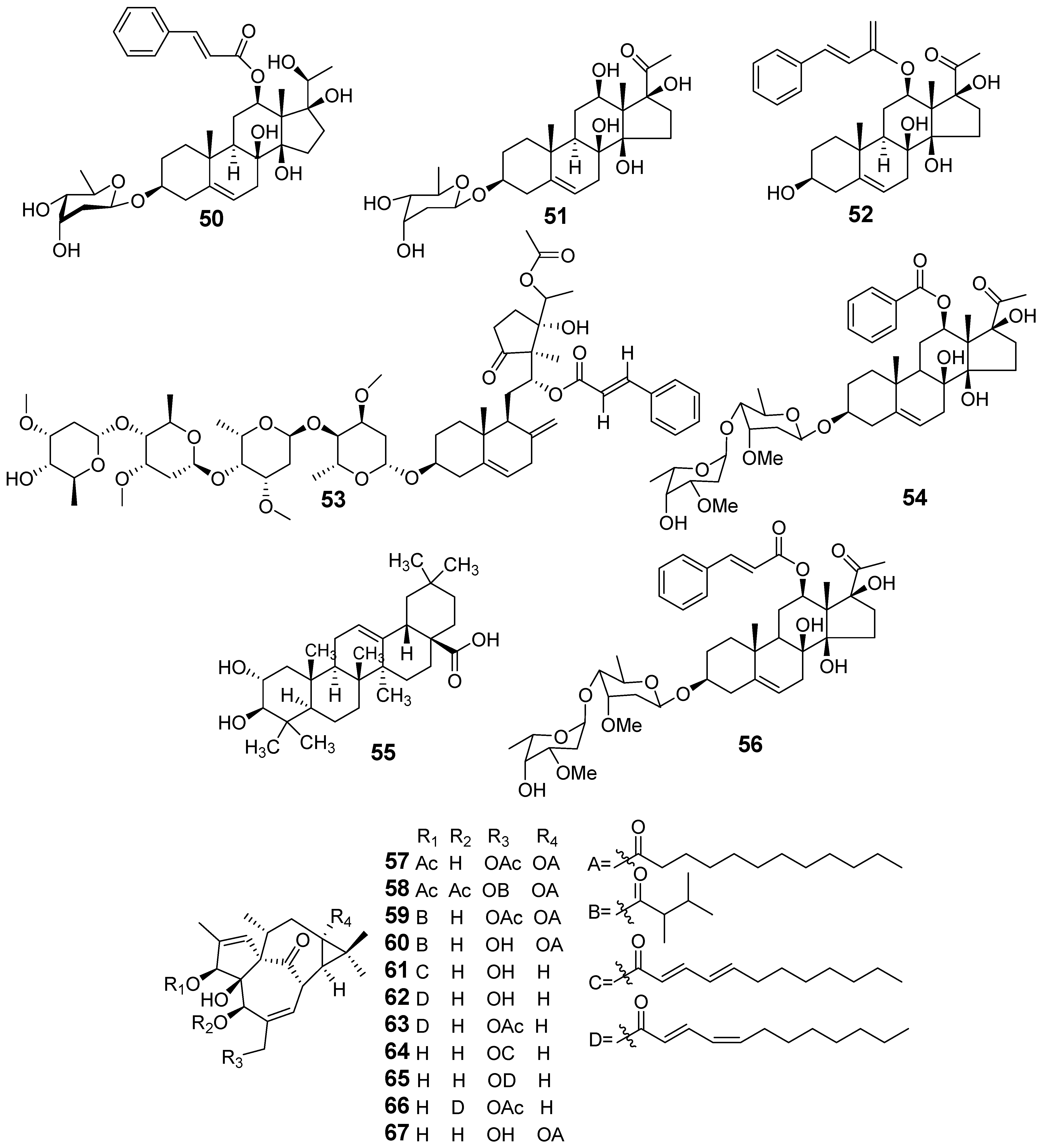 Molecules 29 01083 g005