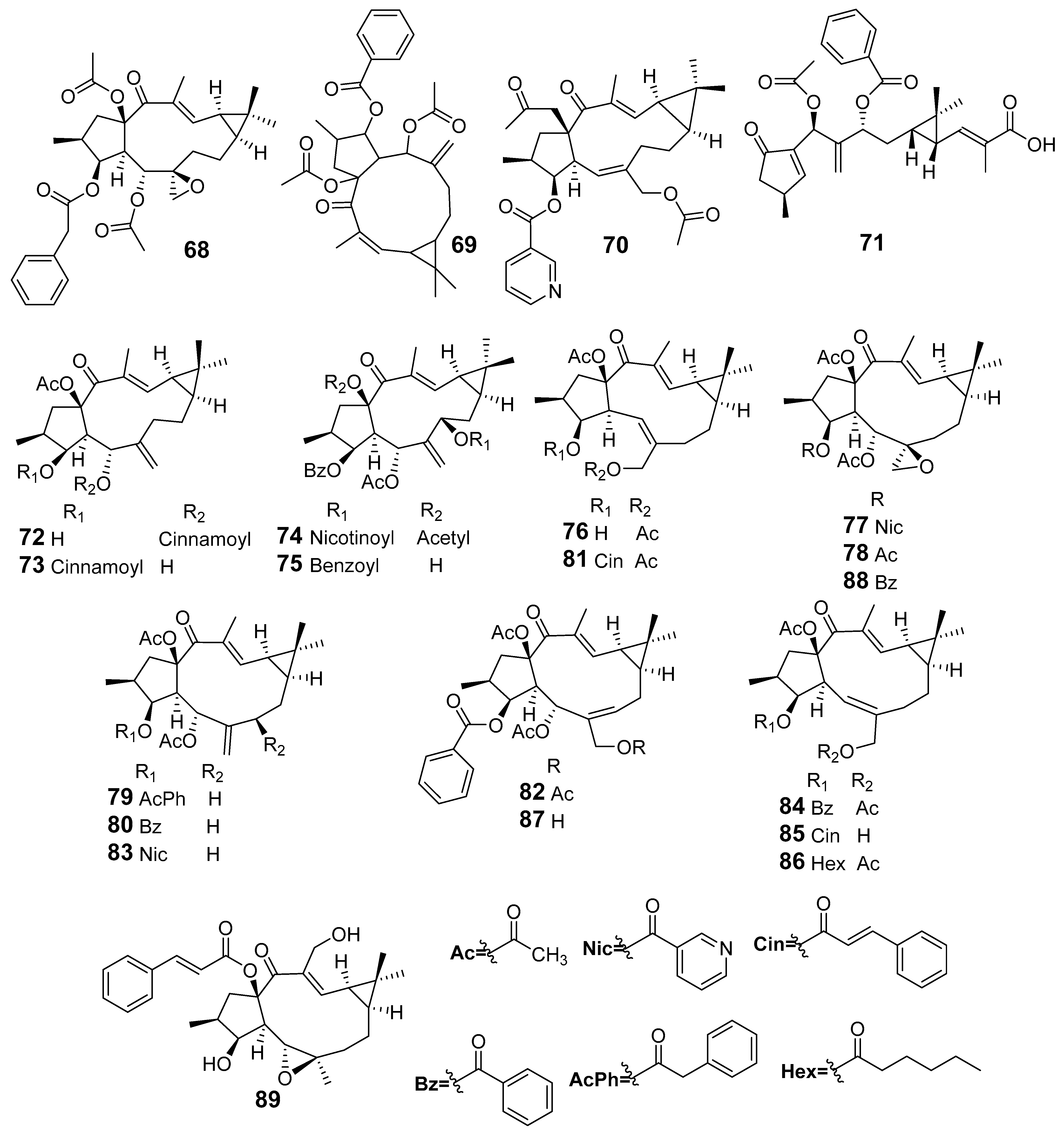 Molecules 29 01083 g006