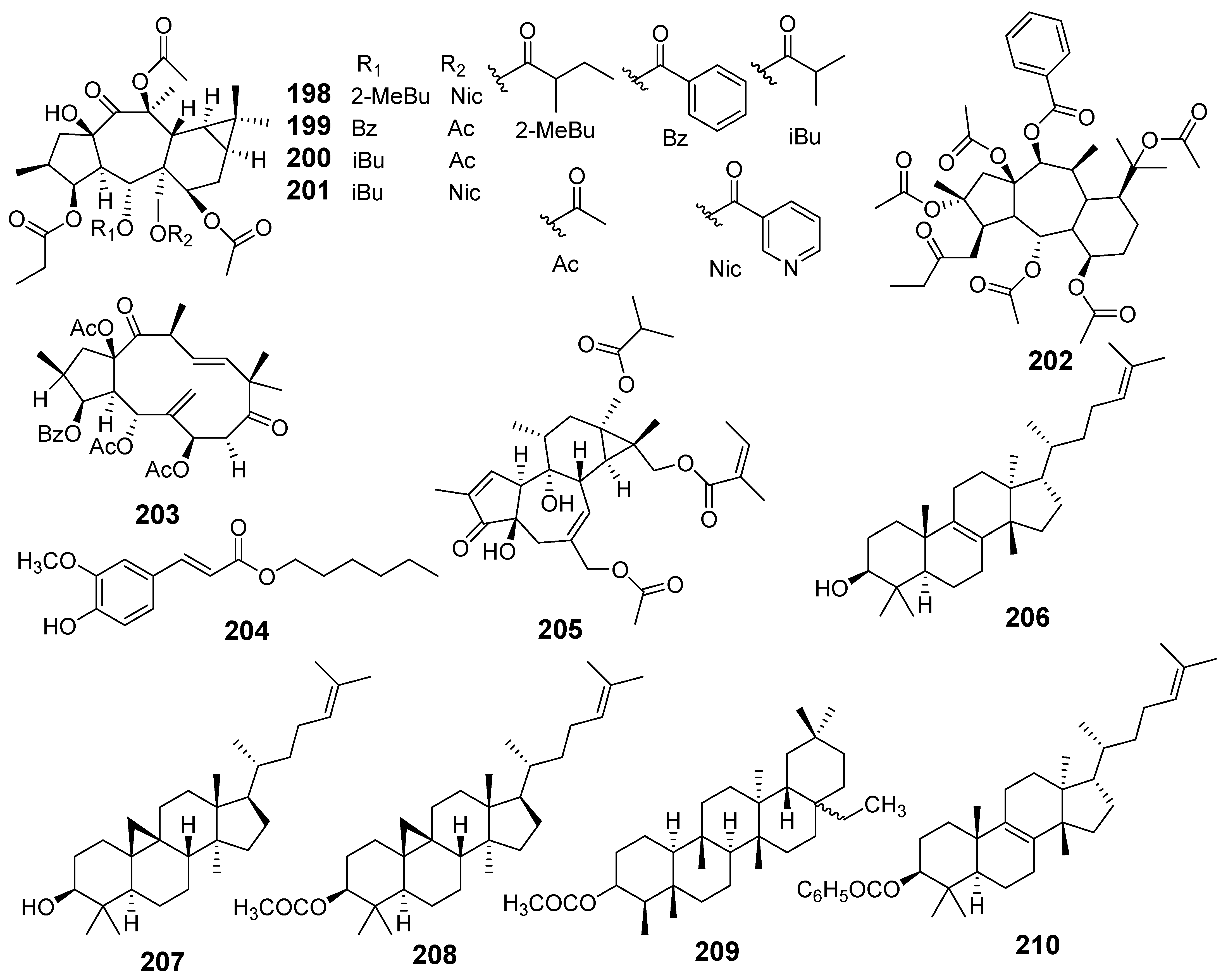 Molecules 29 01083 g014