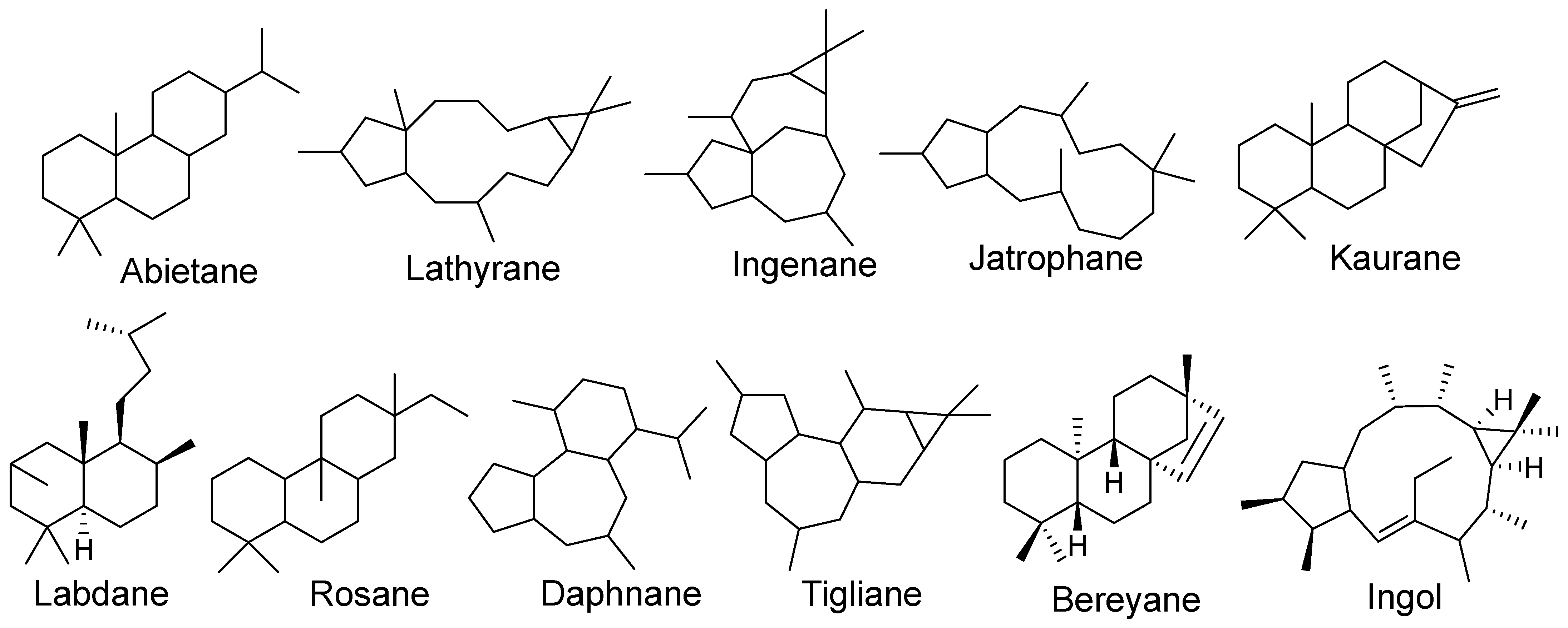 Molecules 29 01083 g020